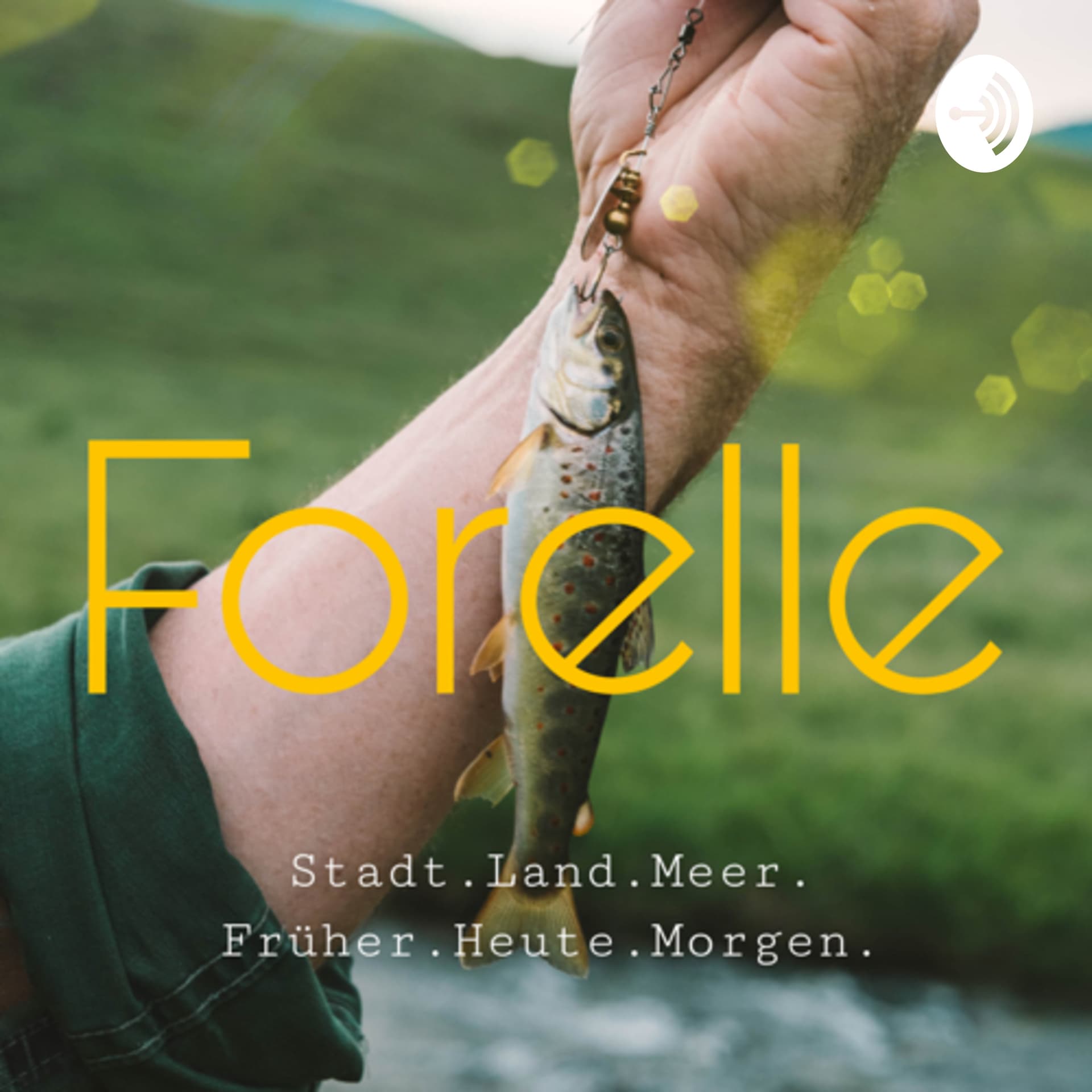 Forelle gelb - Podcasts
