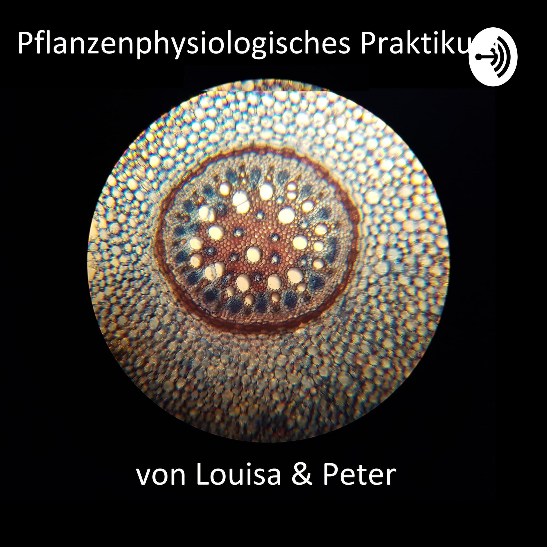 Pflanzenphysiologisches Praktikum Uni Landau - Podcasts
