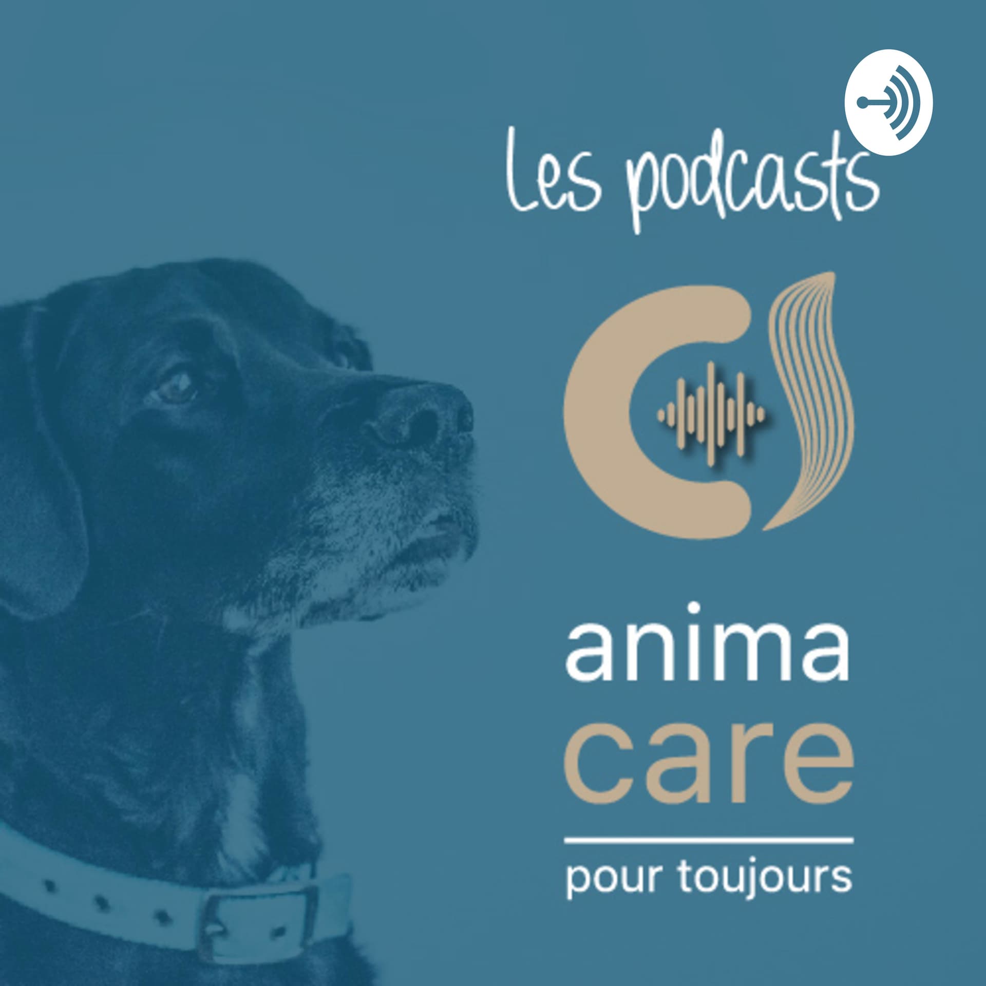 Anima Care pour tous, les podcasts - Podcasts