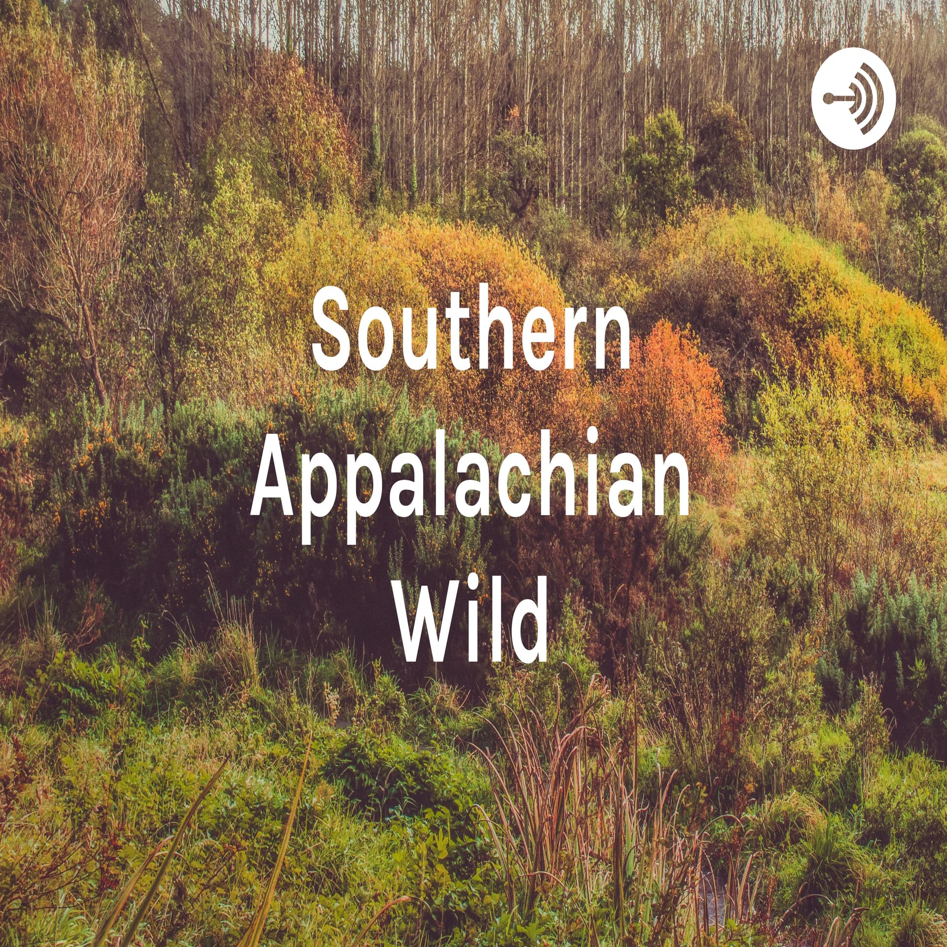 Southern Appalachian Wild - Podcasts
