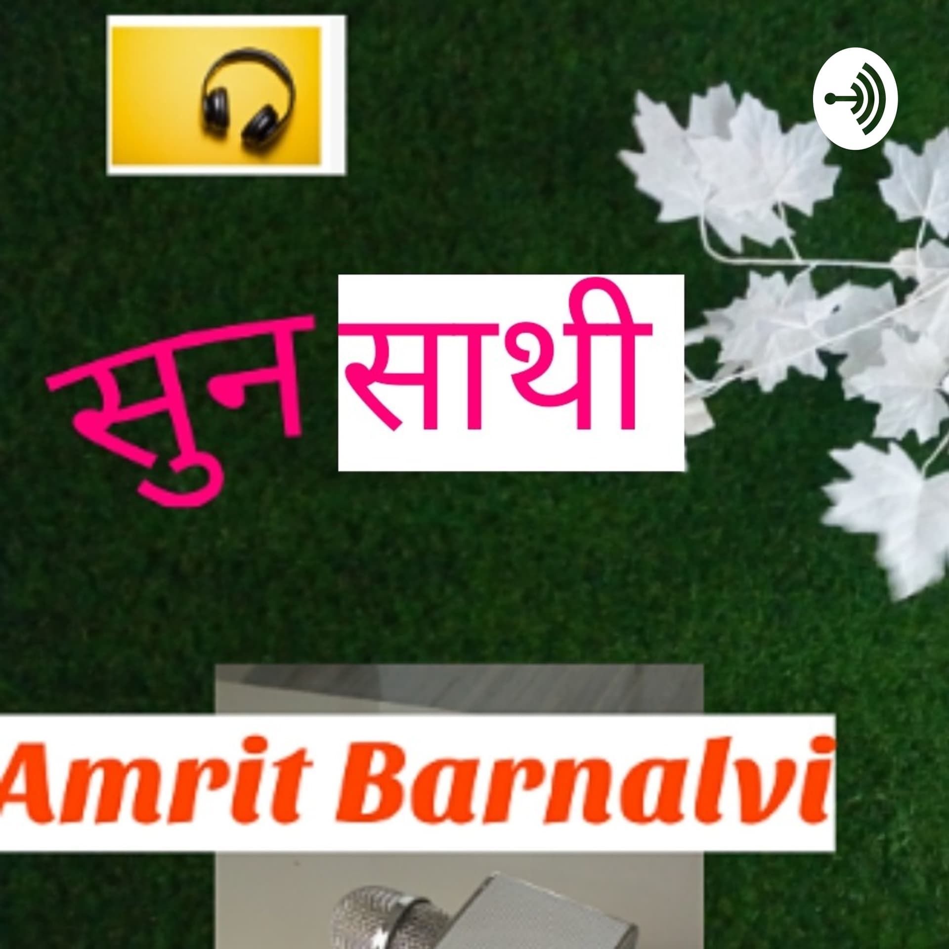 सुन साथी (Sunn Saathi ) - Podcasts