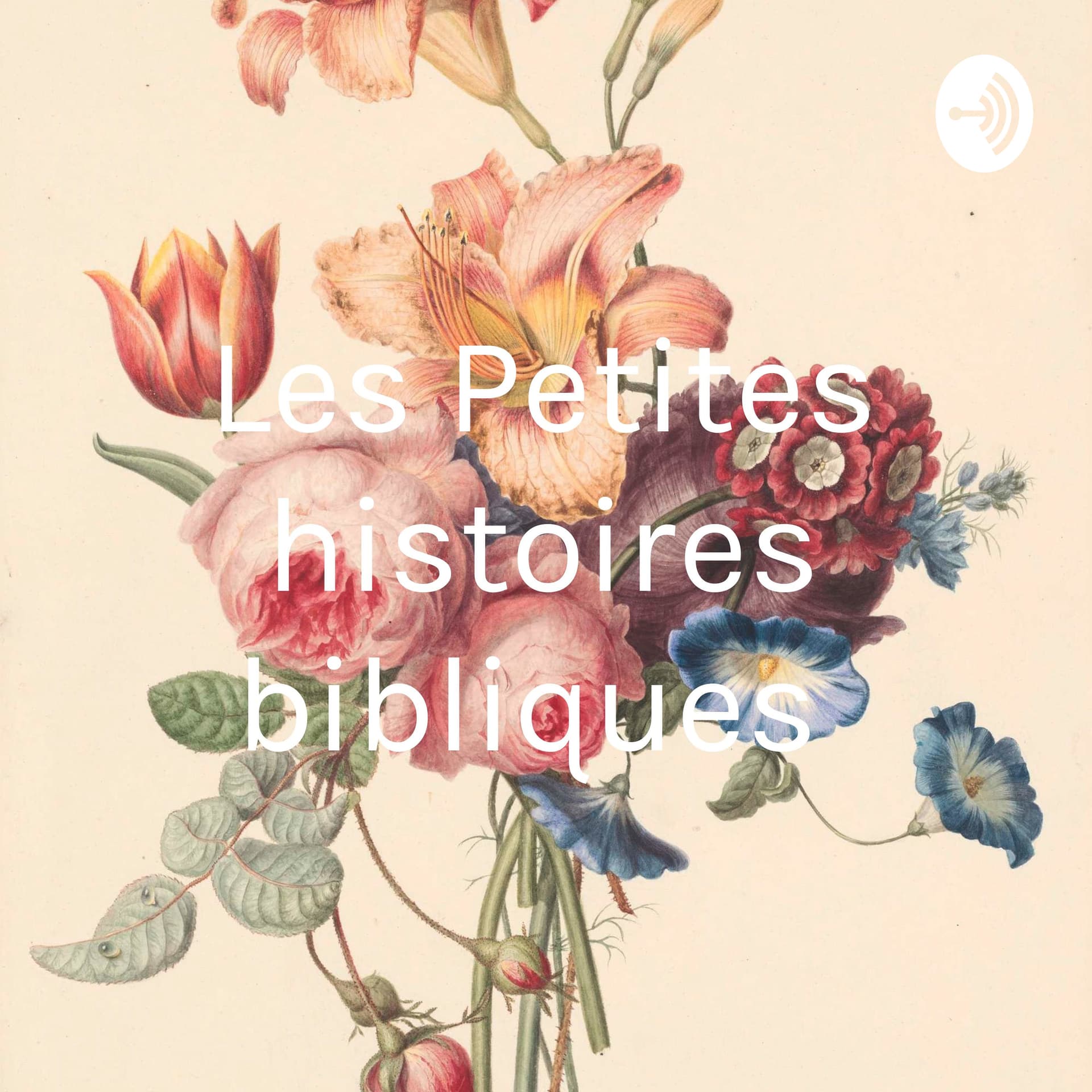 Les Petites histoires bibliques - Podcasts