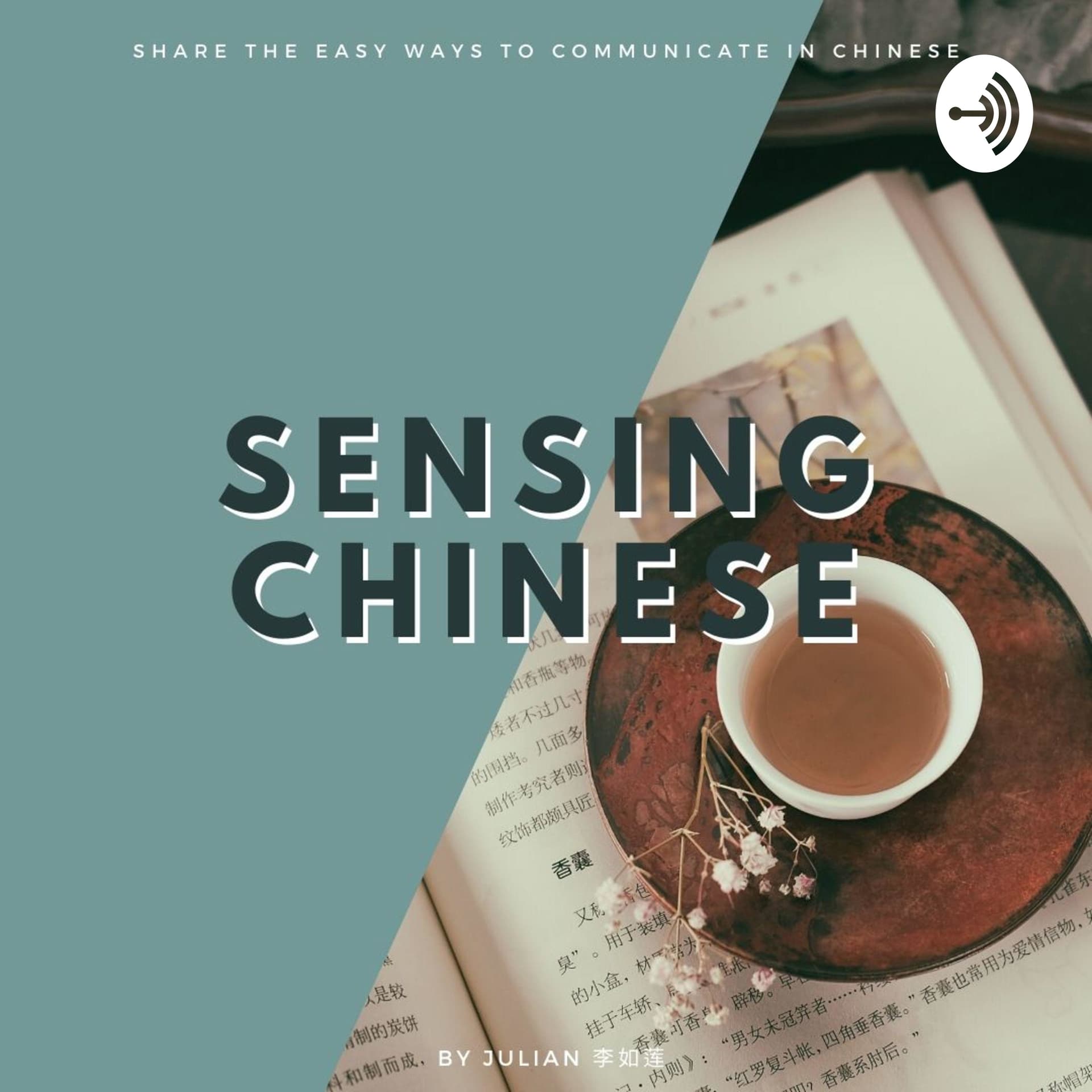Sensing Chinese 汉语感 Diary and Reflections - Podcasts
