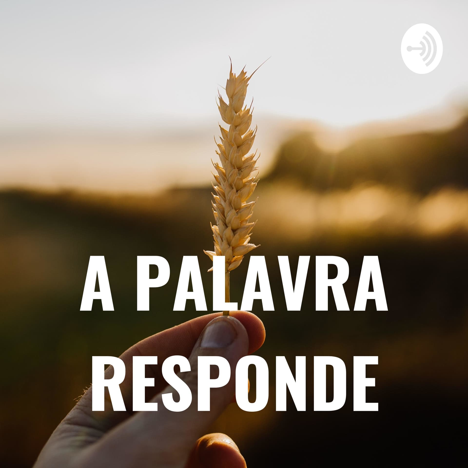 A PALAVRA RESPONDE - Podcasts