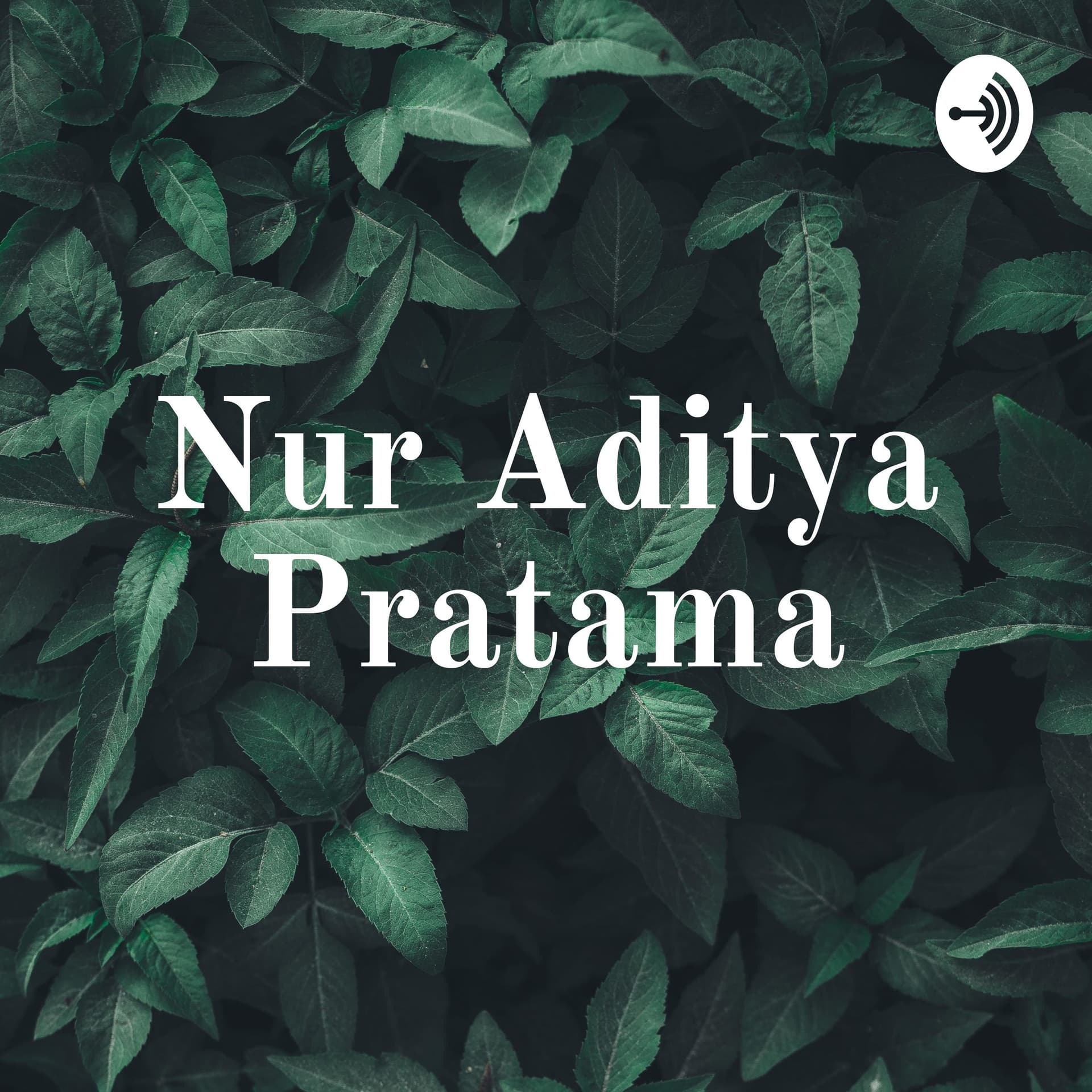 Nur Aditya Pratama - Podcasts