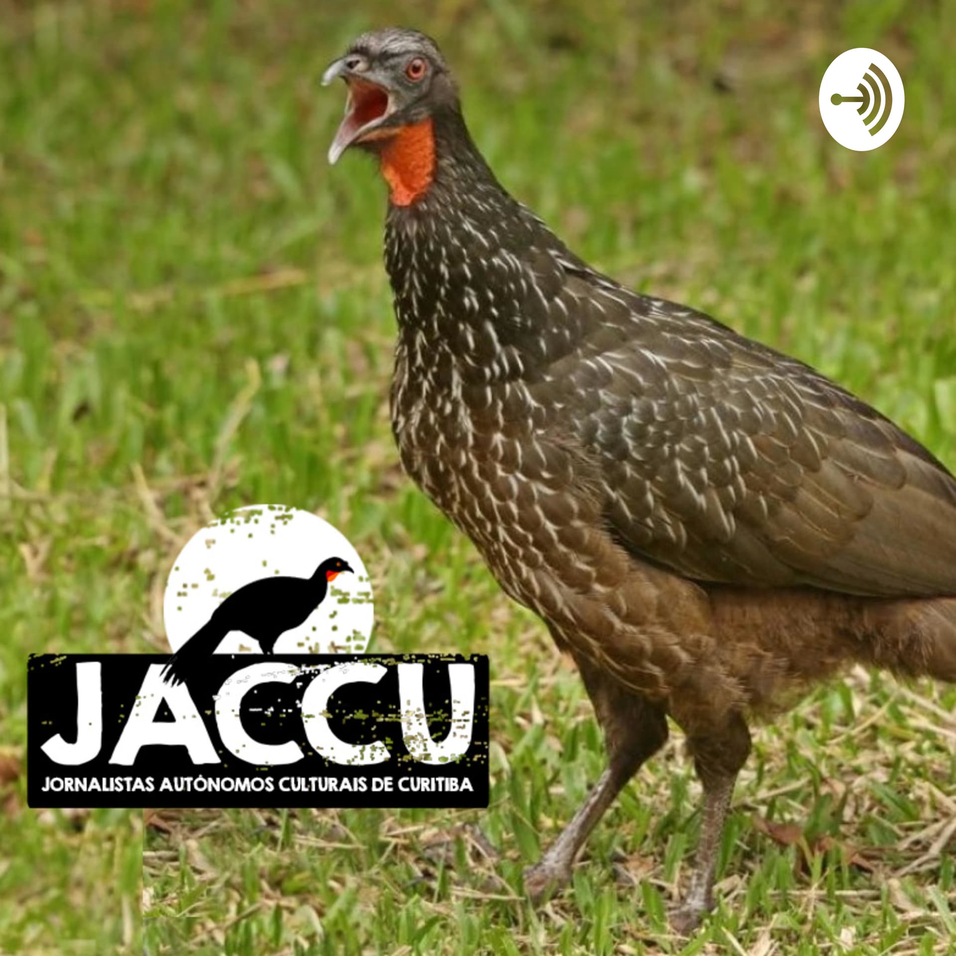 JACCU - Jornalistas Autônomos Culturais de Curitiba - Podcasts