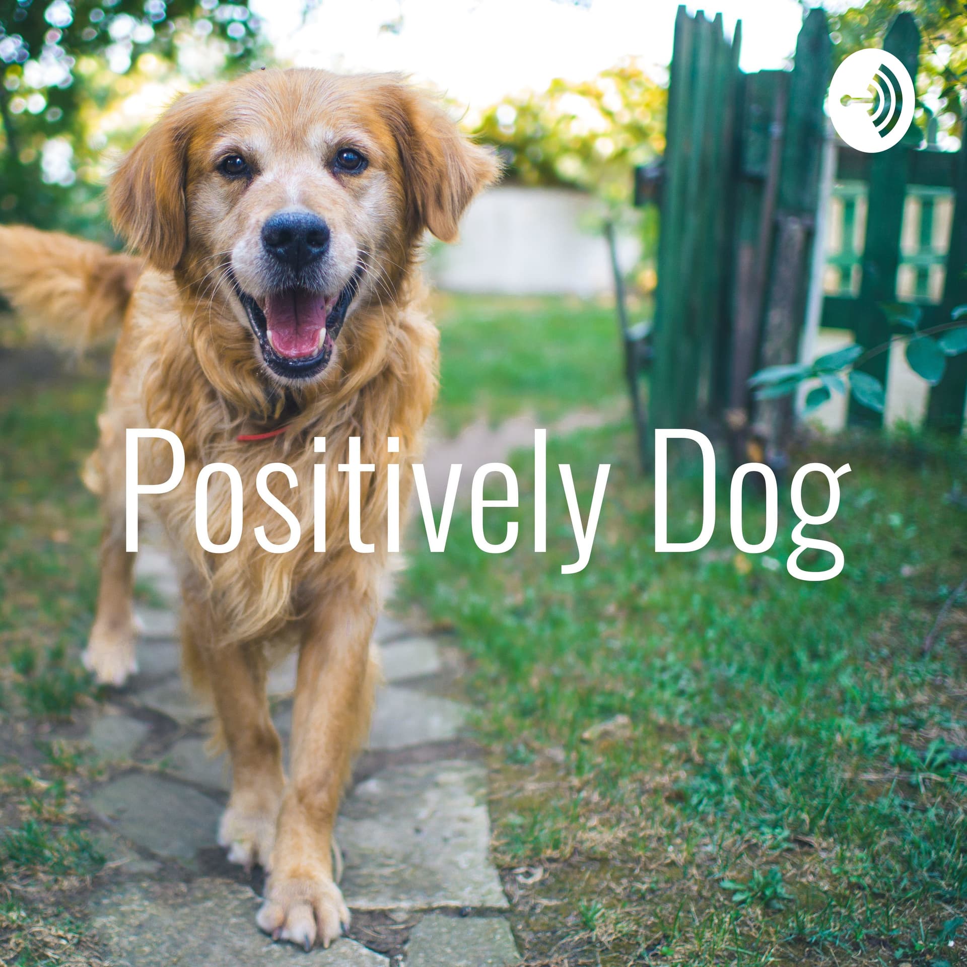 Positively Dog - Podcasts