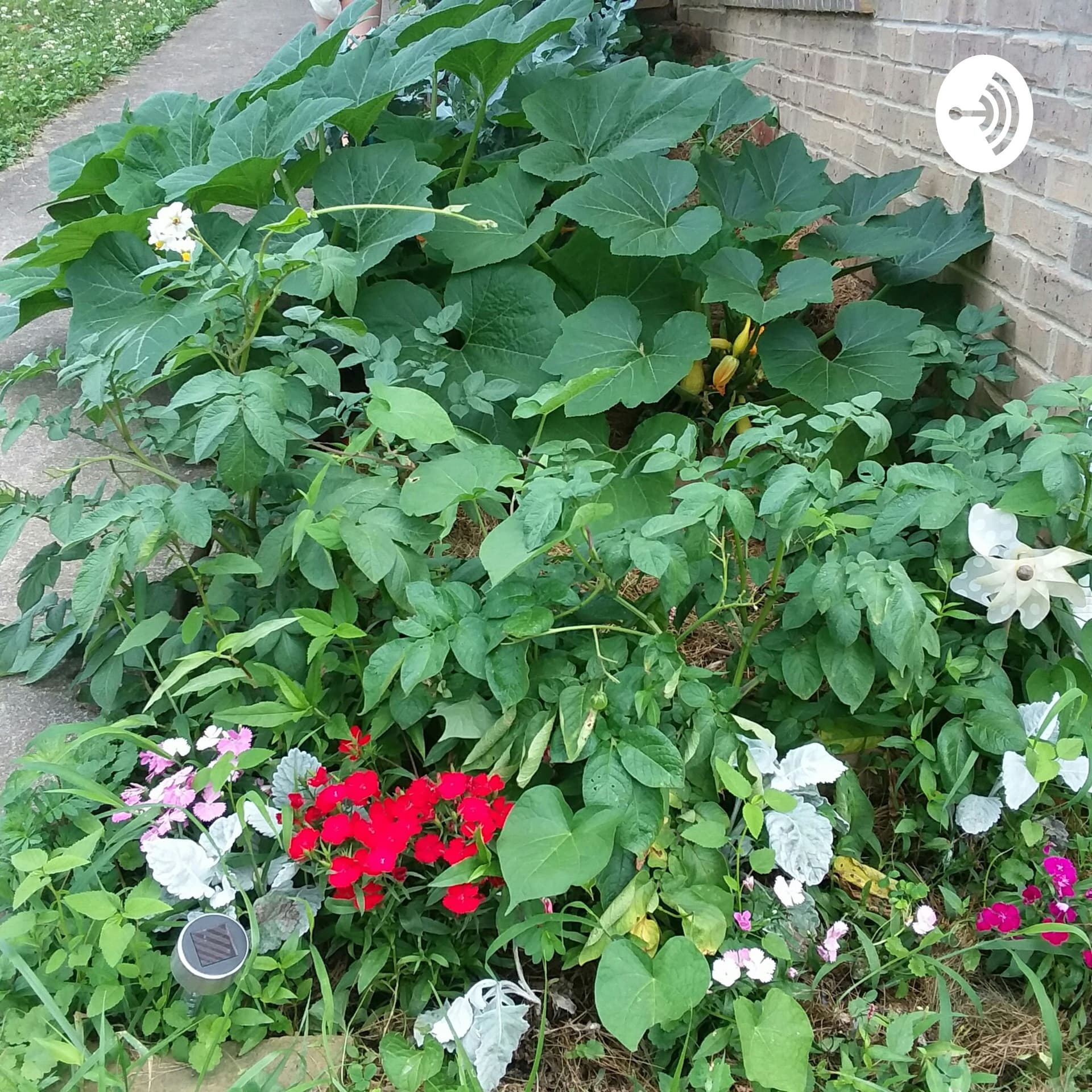 Gardening With E - Podcasts
