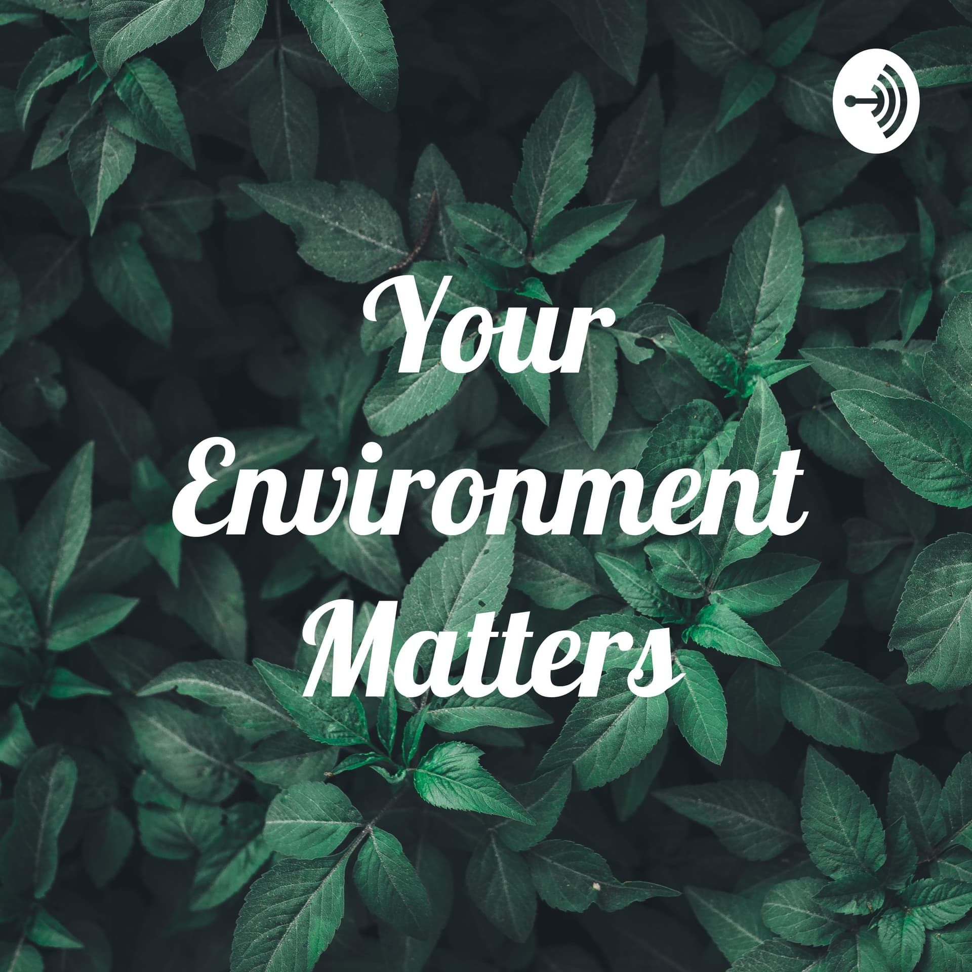 Your Environment Matters