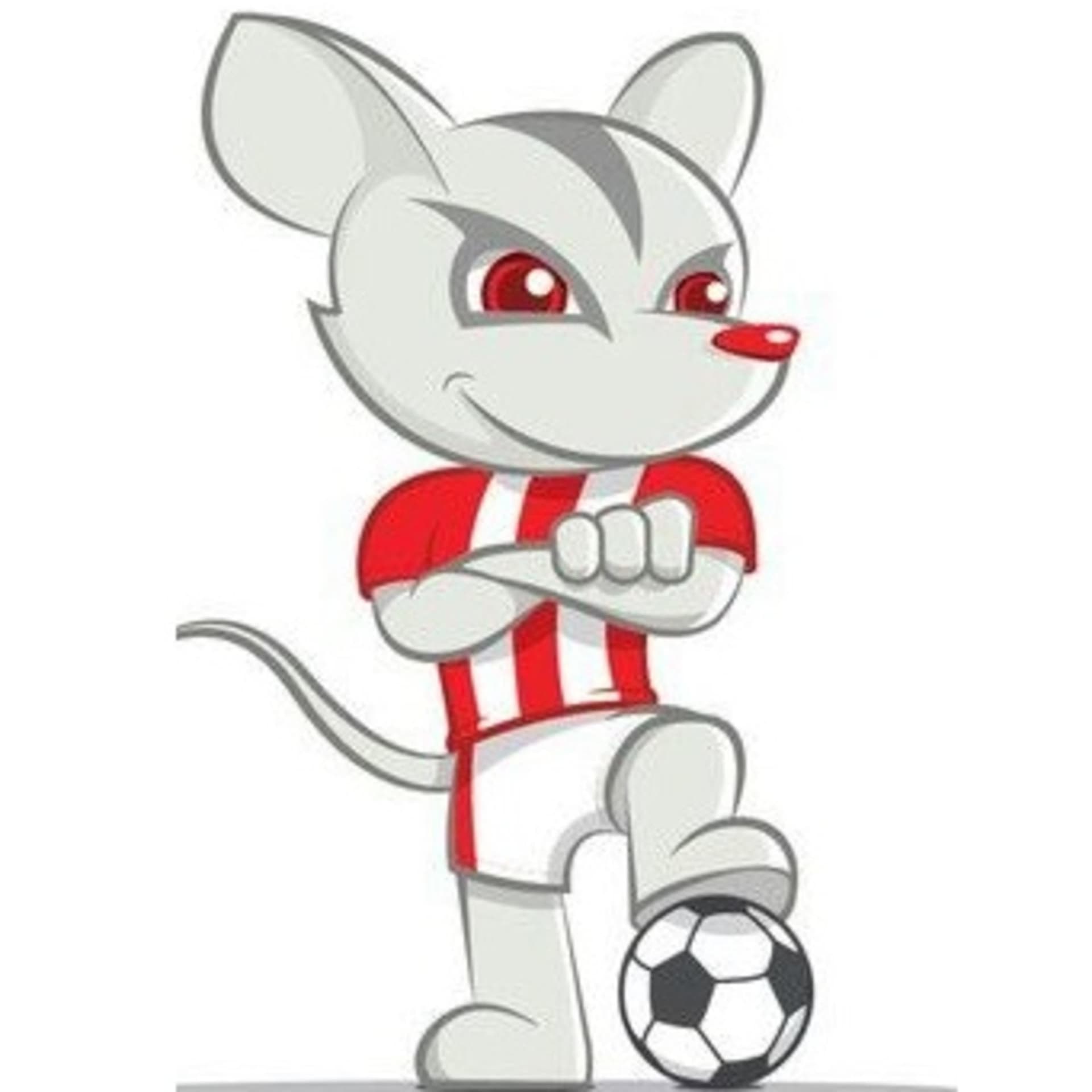 TimBu-Bola - O Podcast quase Oficial do Timbu - Podcast