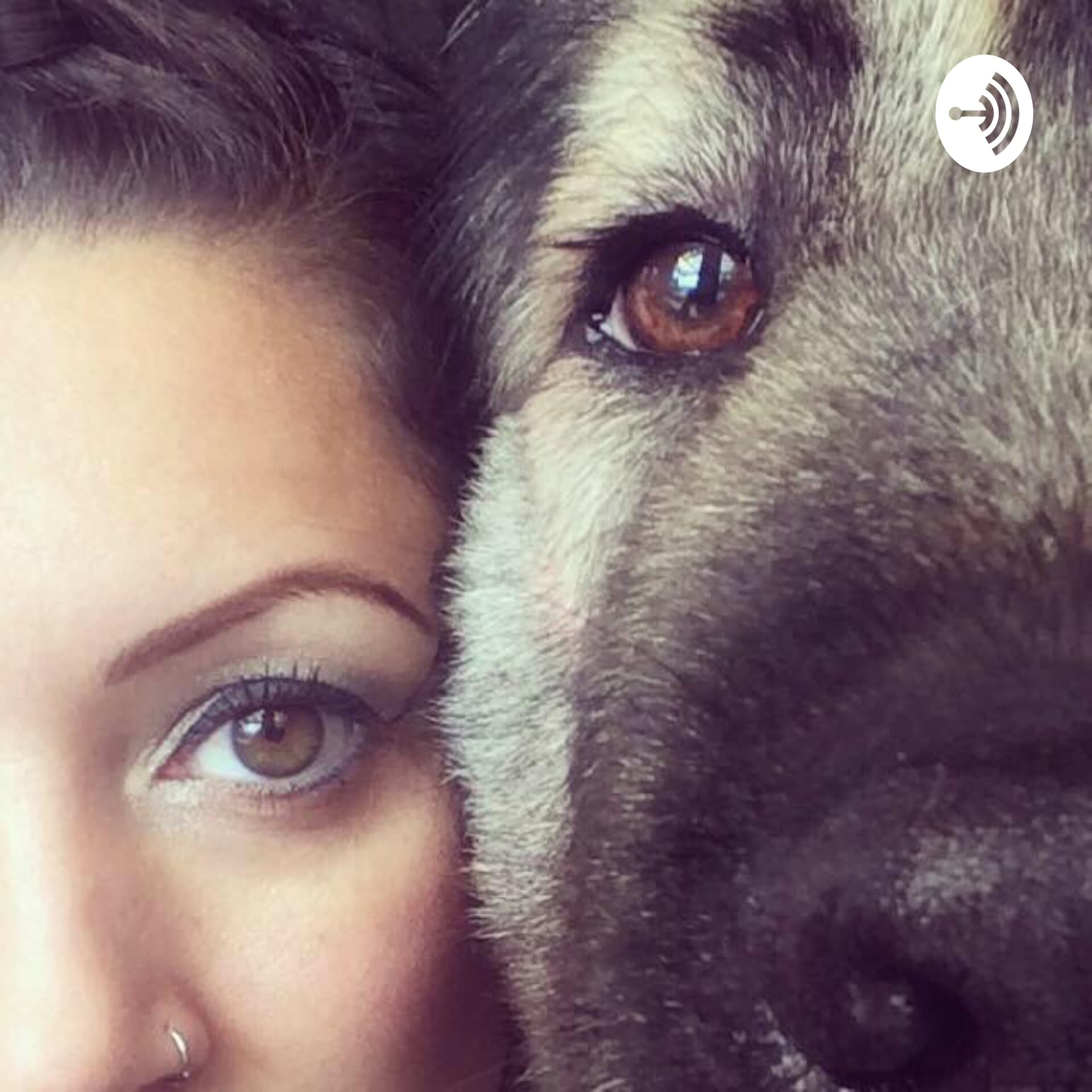 Dogs of Pegasus - Podcasts