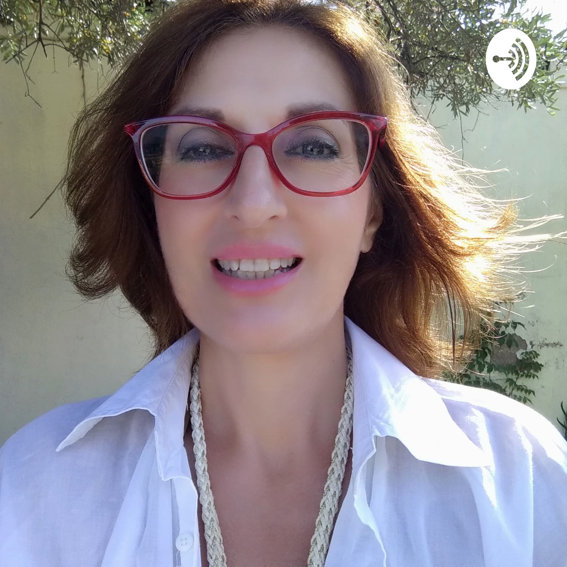 Non Verbal Communication What You Don't Say Carries The Most Weight In Your Meeting - Podcasts