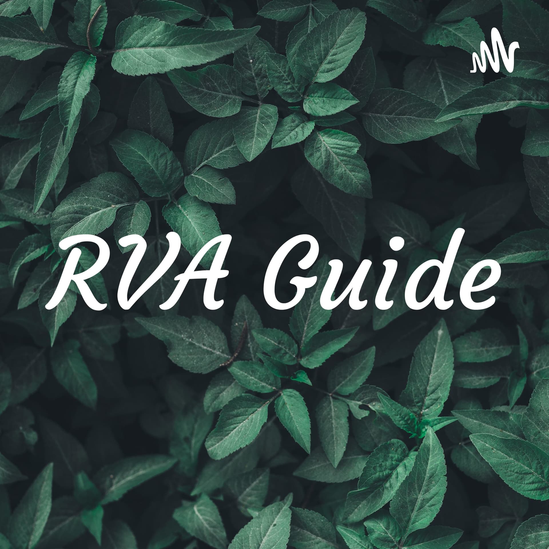 RVA Guide