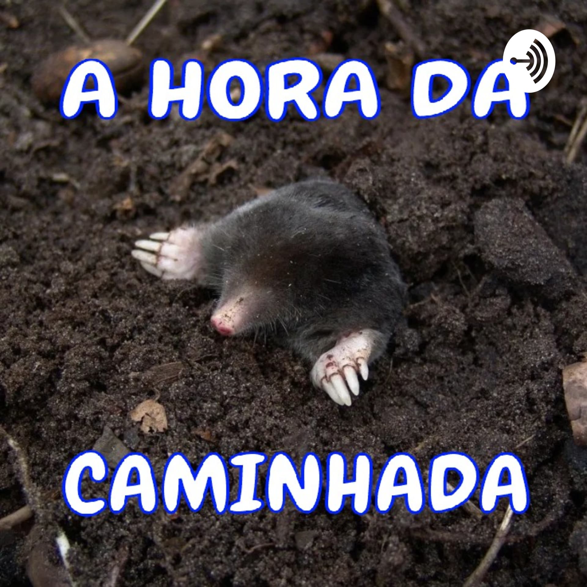 A Hora da Caminhada - Podcasts