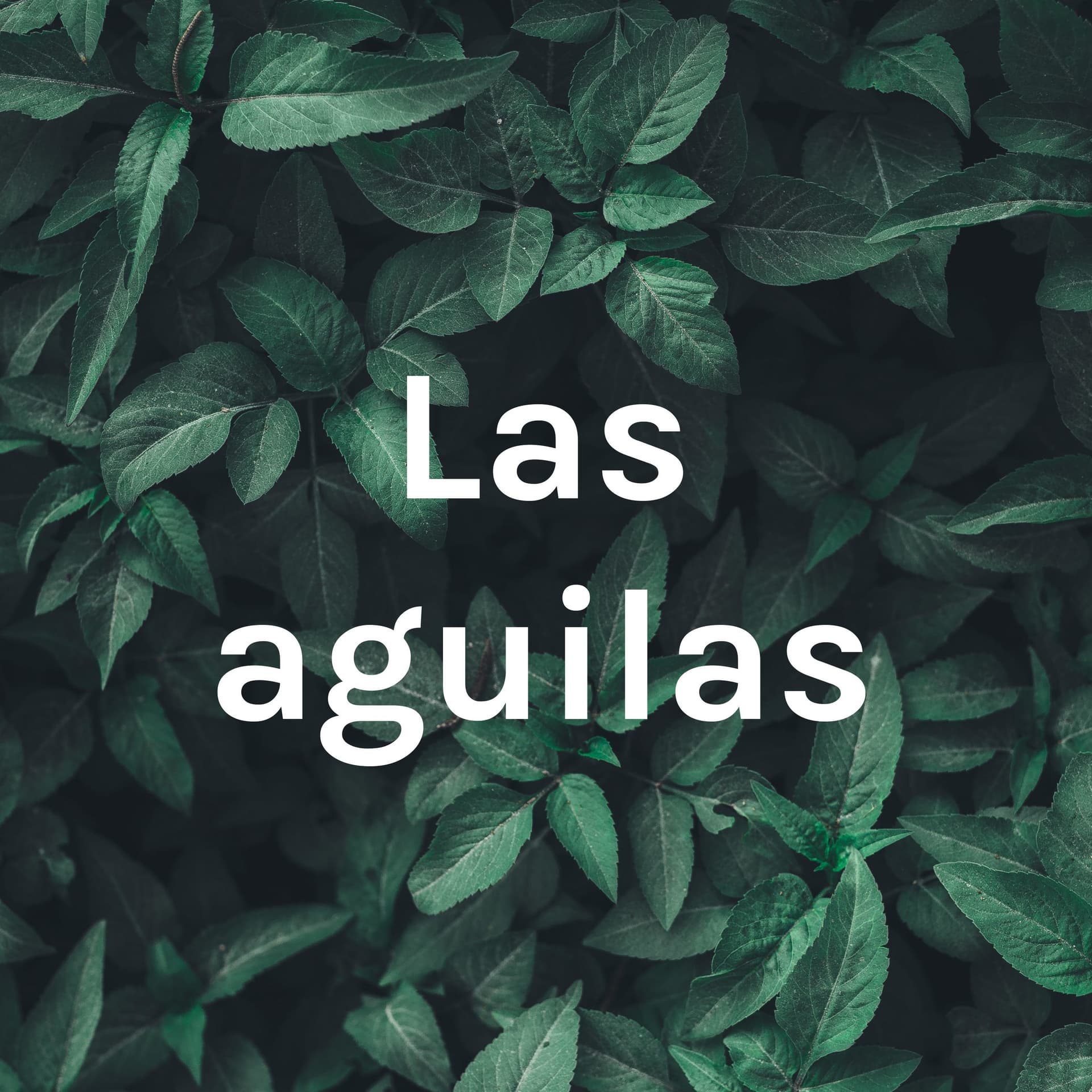Las aguilas