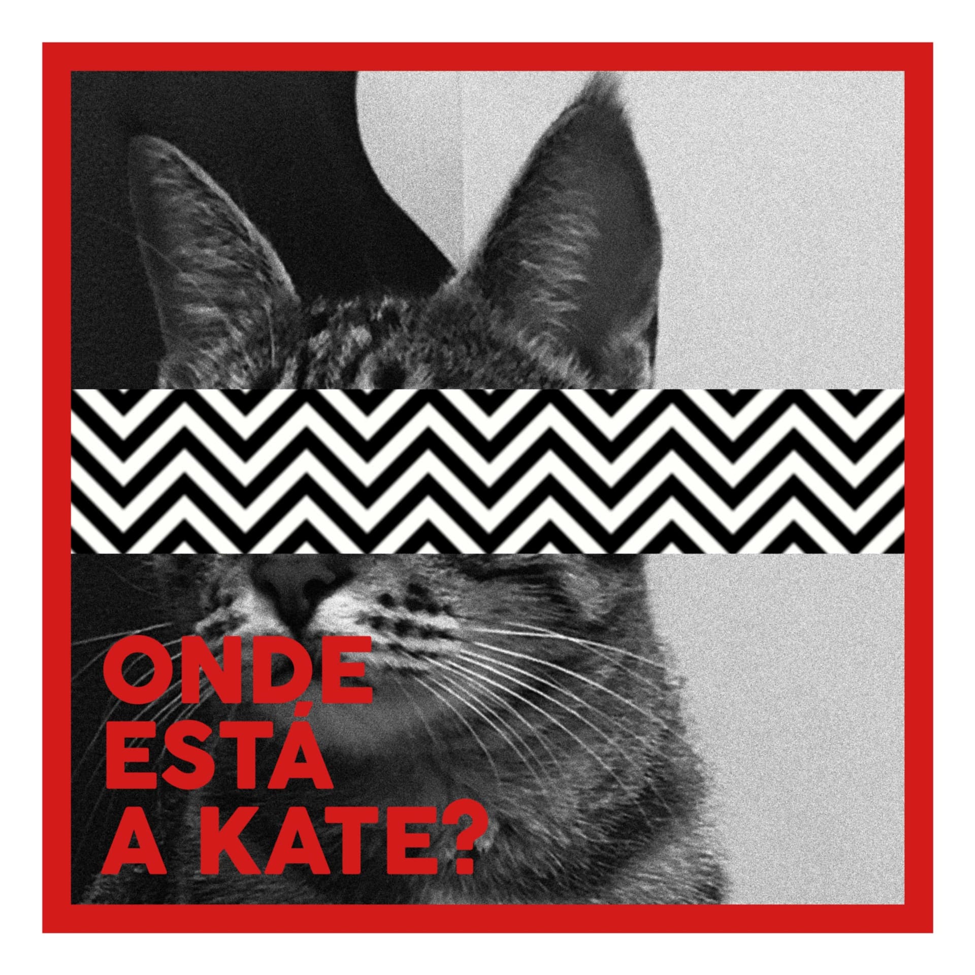 Onde está a Kate? - Podcasts