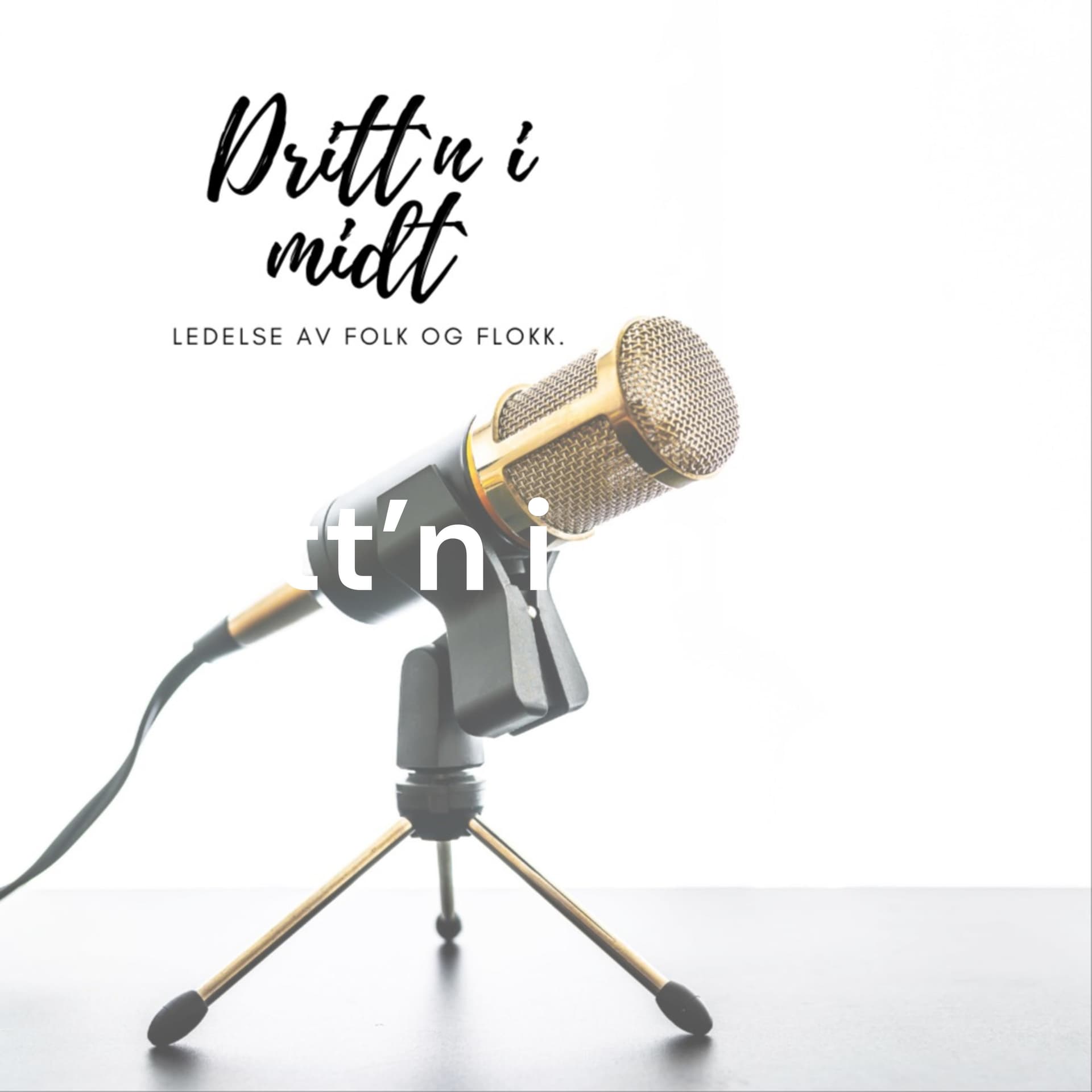 Dritt’n i midt’n – ledelse av folk og flokk! - Podcasty