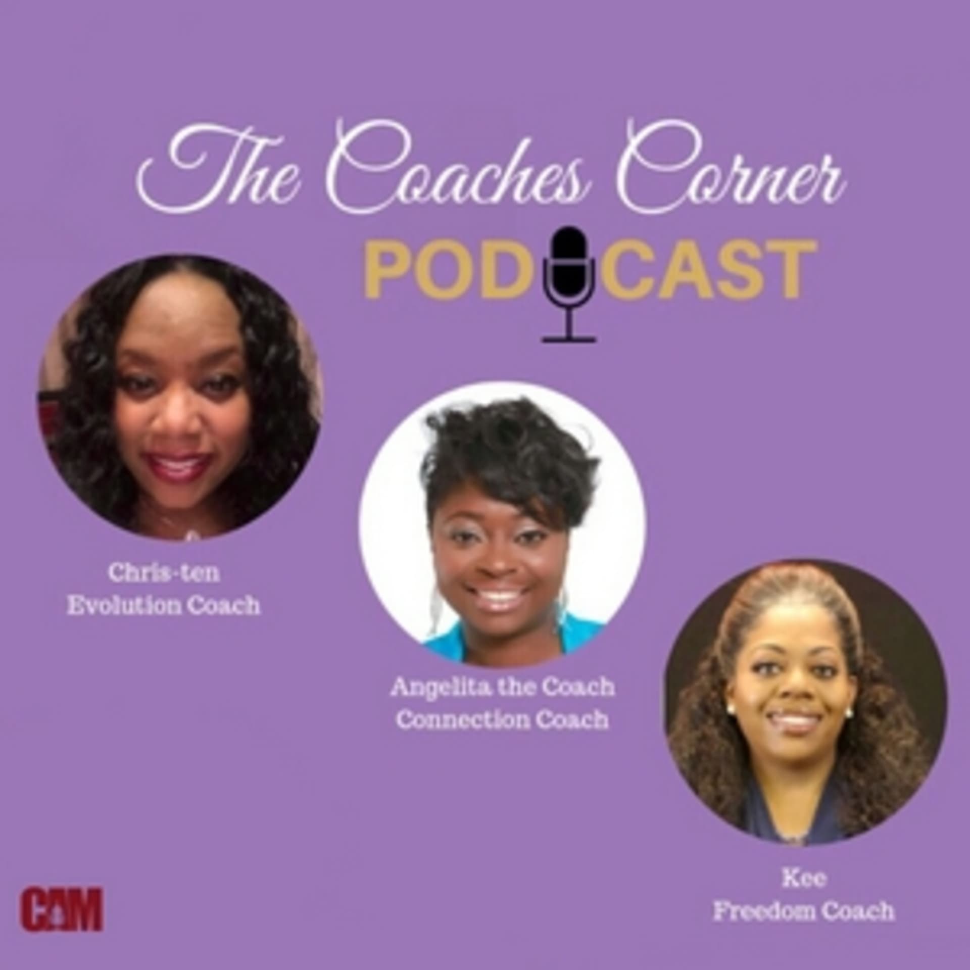 The Coaches Corner - Podcasts