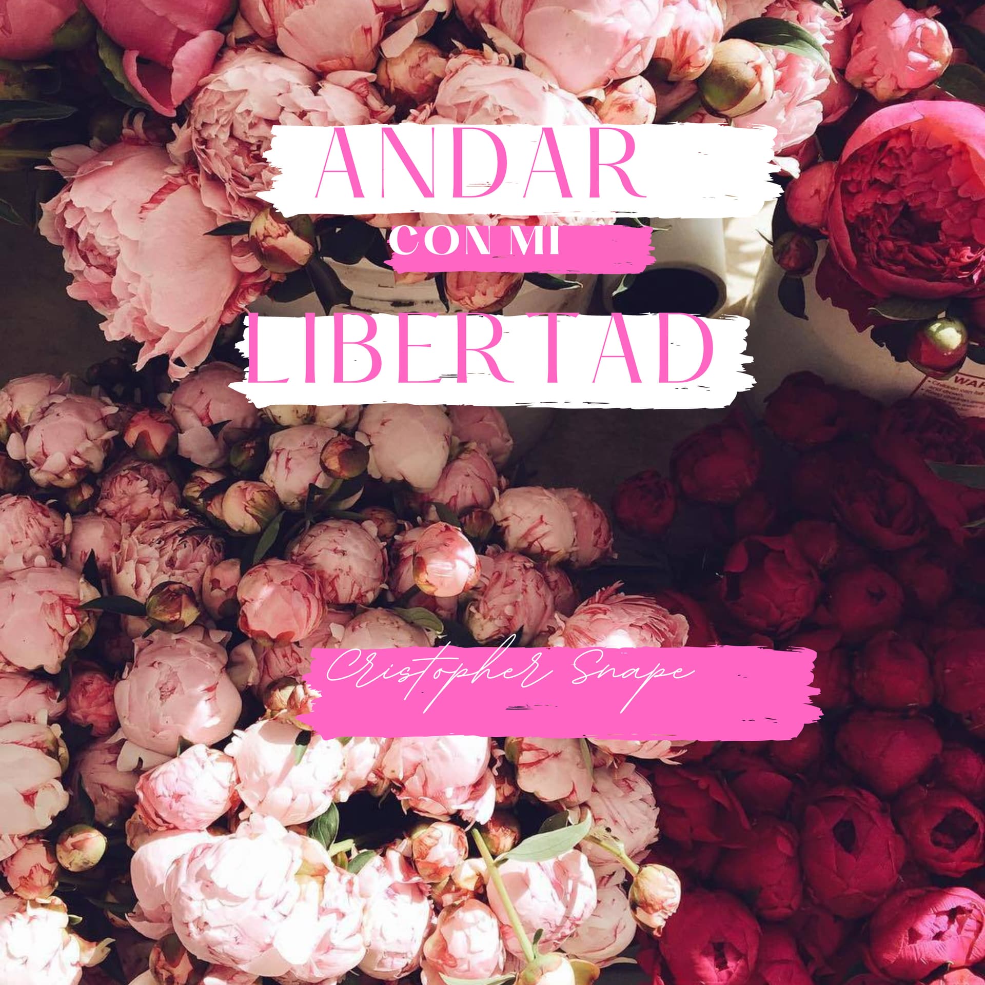Andar con mi libertad - Podcasts