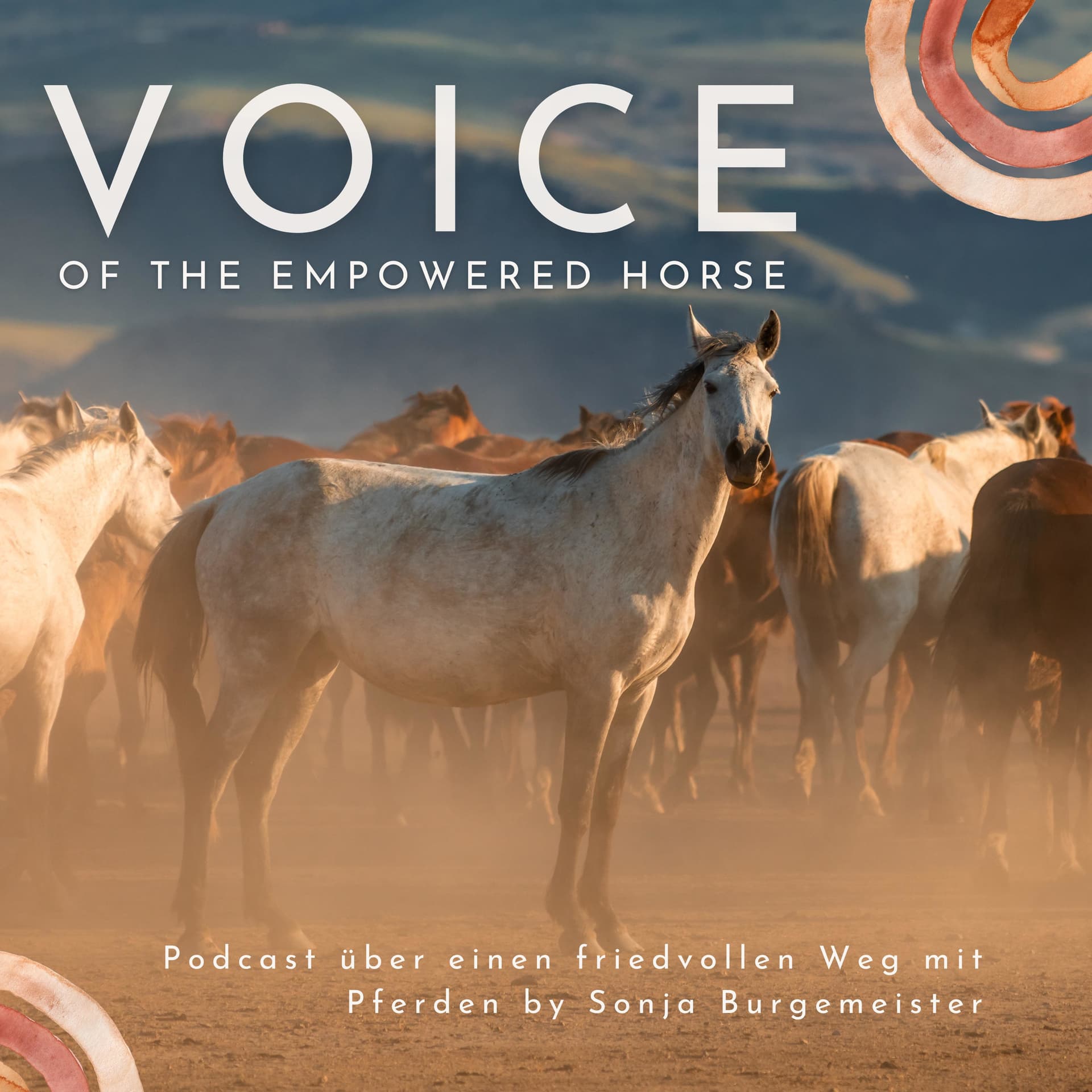 VOICE OF THE EMPOWERED HORSE | a new way of living with horses - Podcasts
