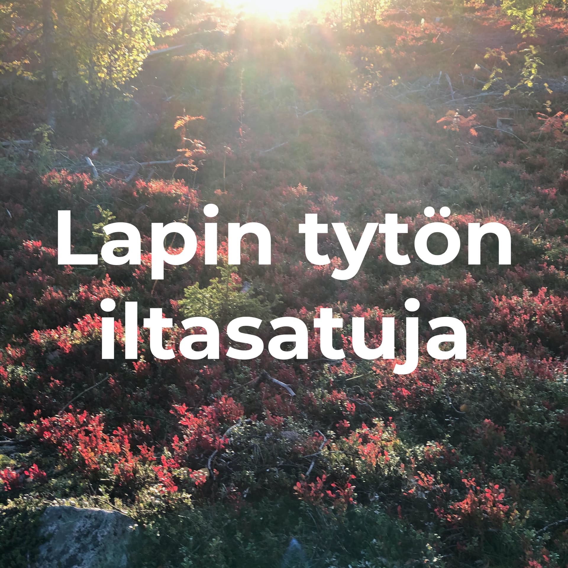 Lapin tytön iltasatuja - Lapin luonnon innoittamana juuret syvästi Lapinmaassa / Anique Lapland - Podcasts