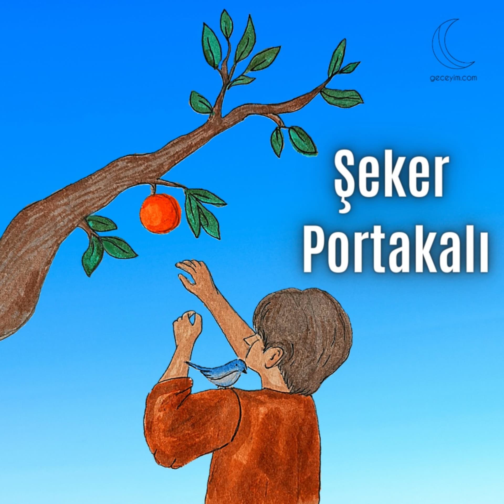 Şeker Portakalı Kitap Seslendirmesi - Podcastler
