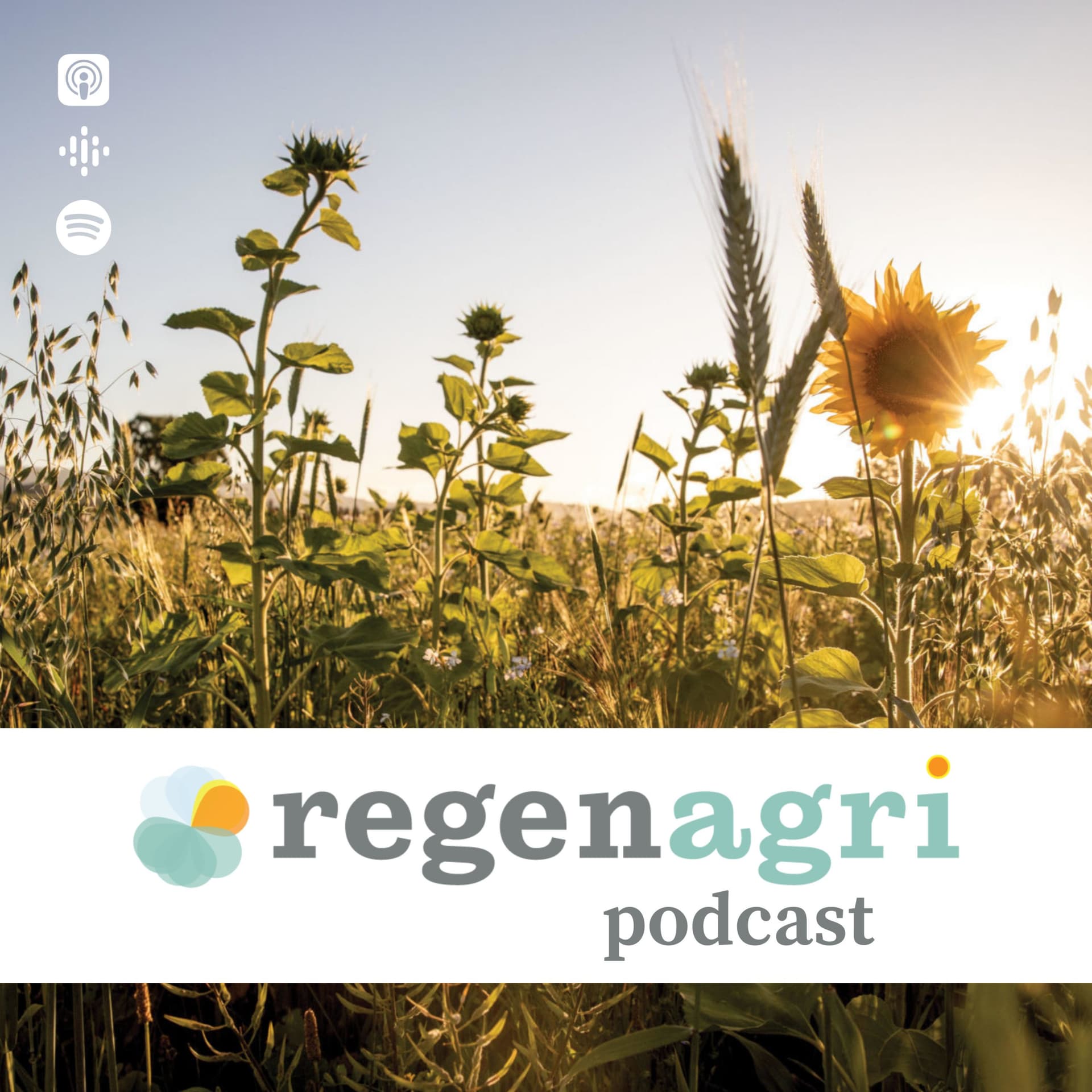 regenagri podcast - Podcasty