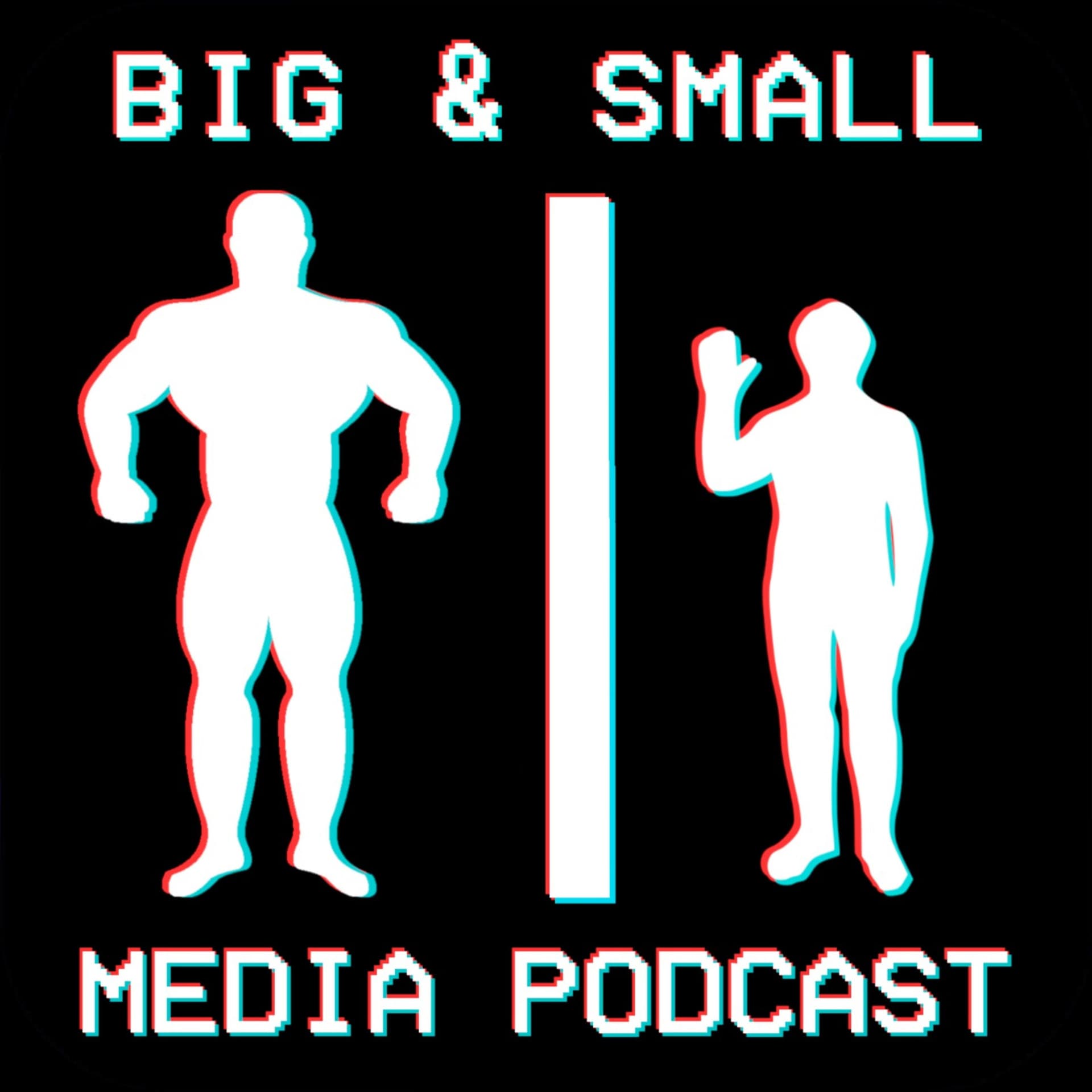 Big and Small Media Podcast - Podcasts