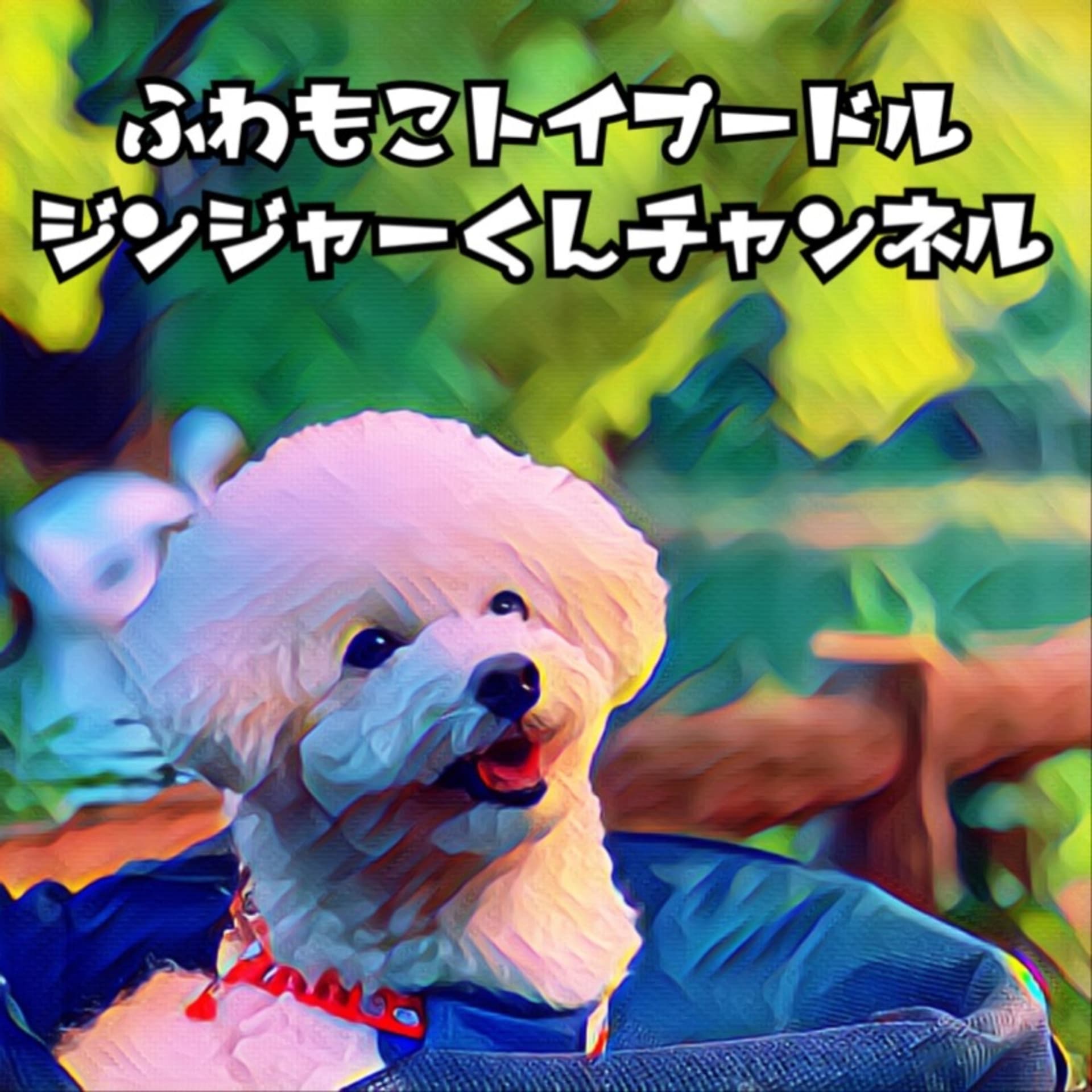ふわもこトイプードル ジンジャーくんチャンネル