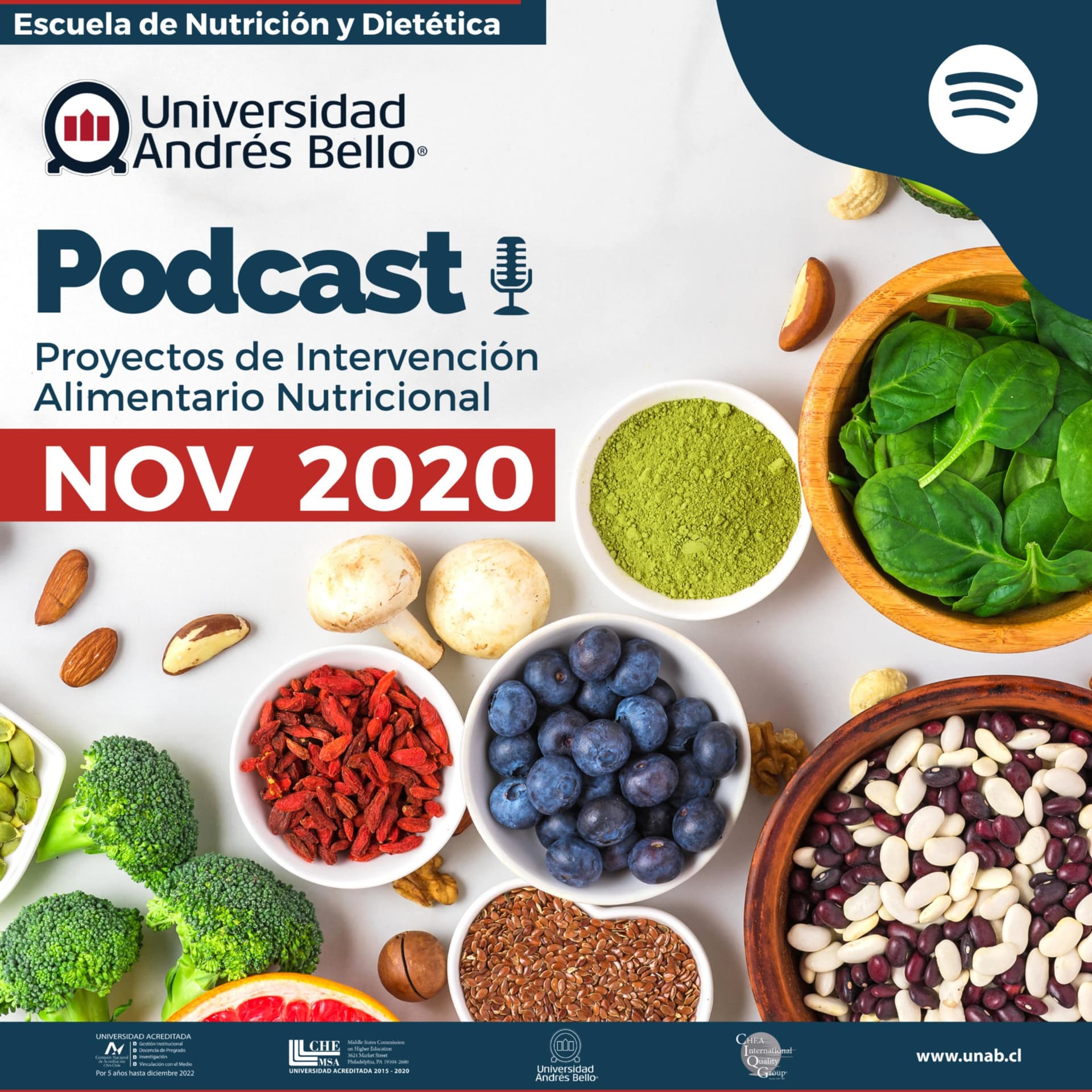 Proyecto de Intervención Alimentario Nutricional- UNAB - Podcasts