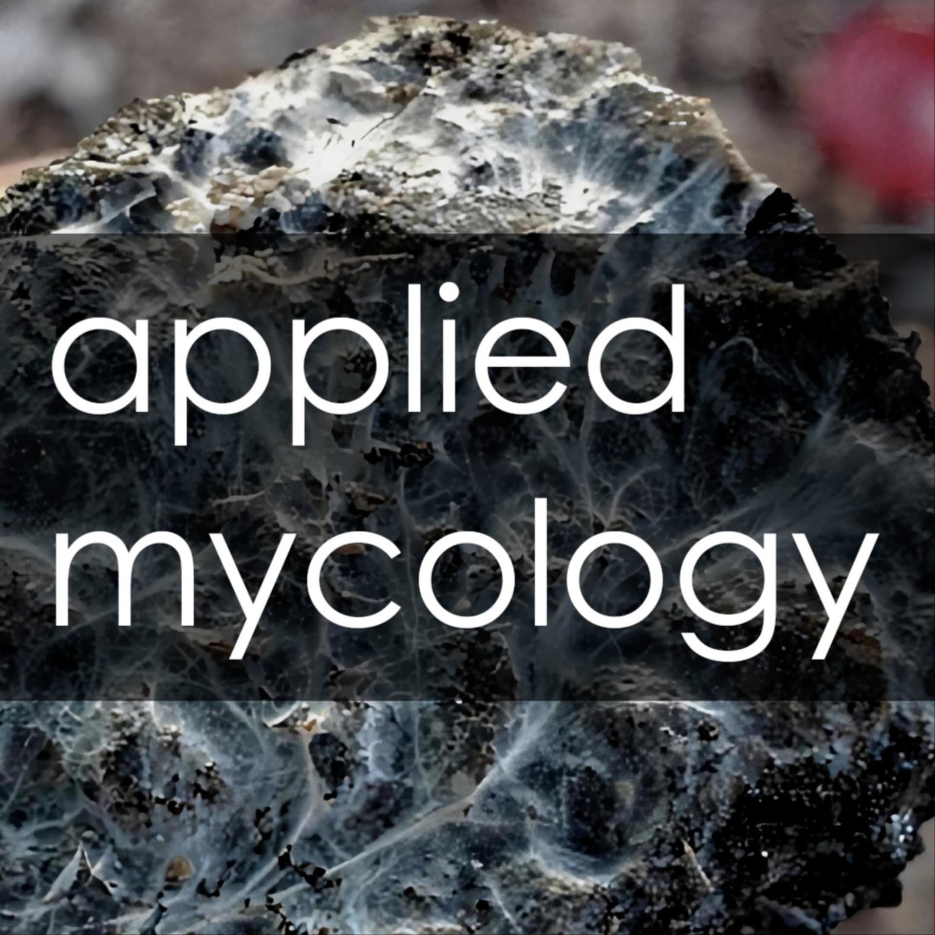 Applied Mycology - Podcasts