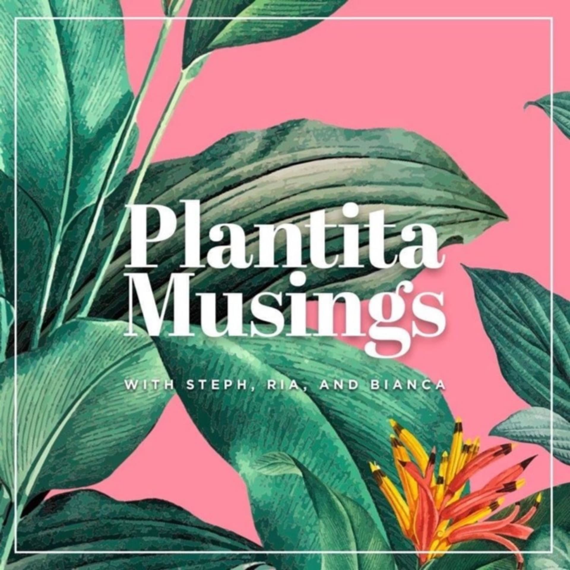 Plantita Musings - Podcast