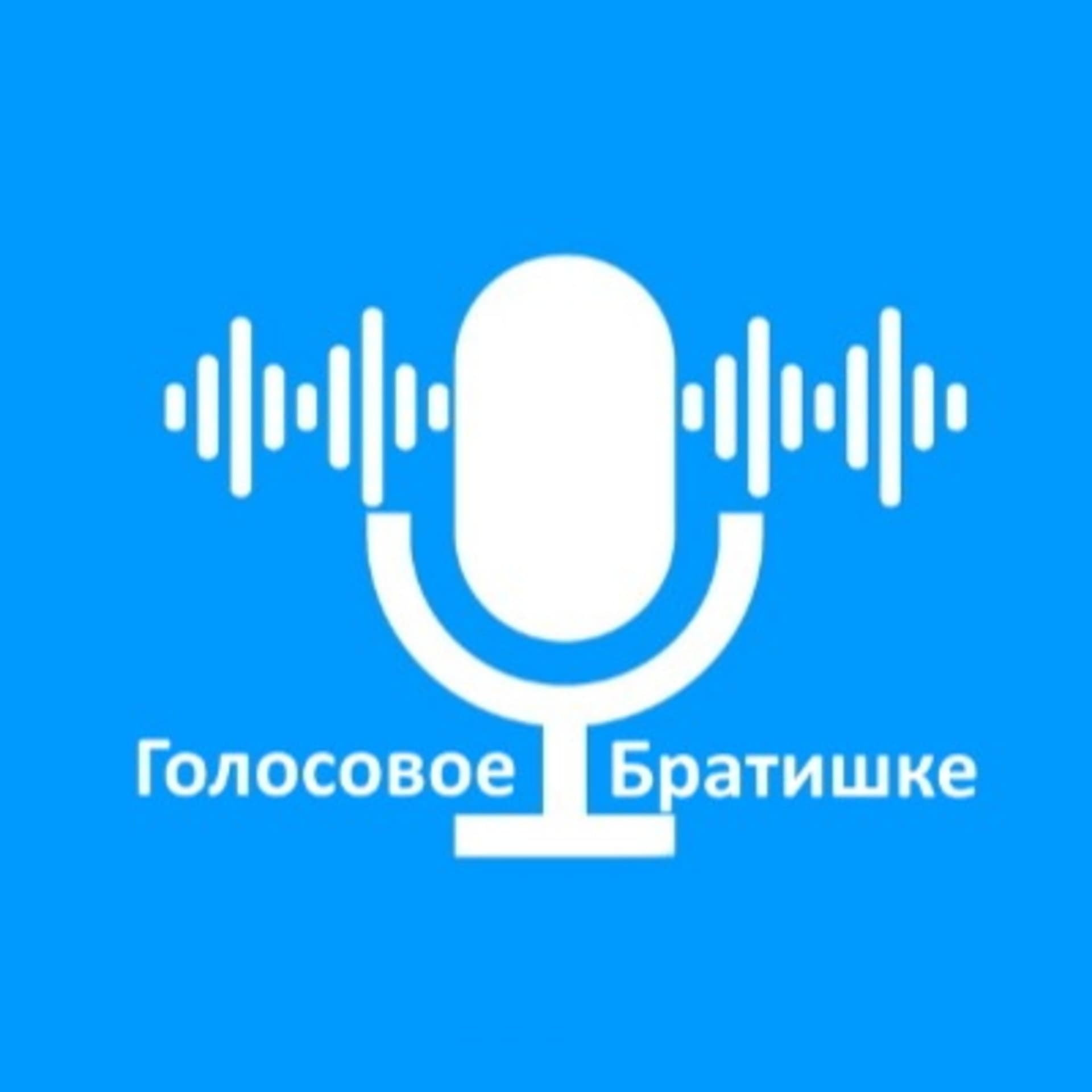 Голосовое братишке
