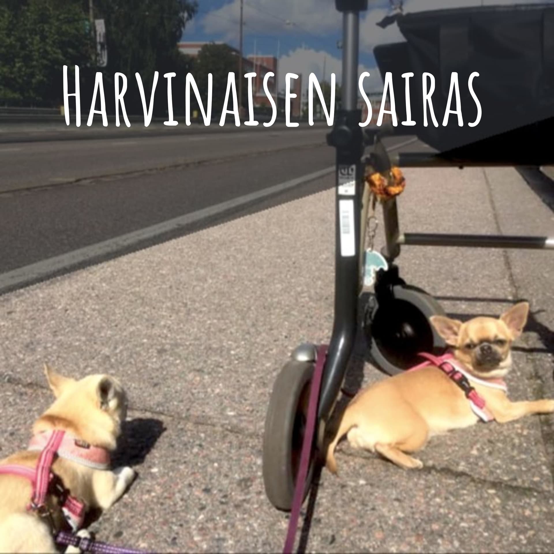 Harvinaisen sairas - Podcasty