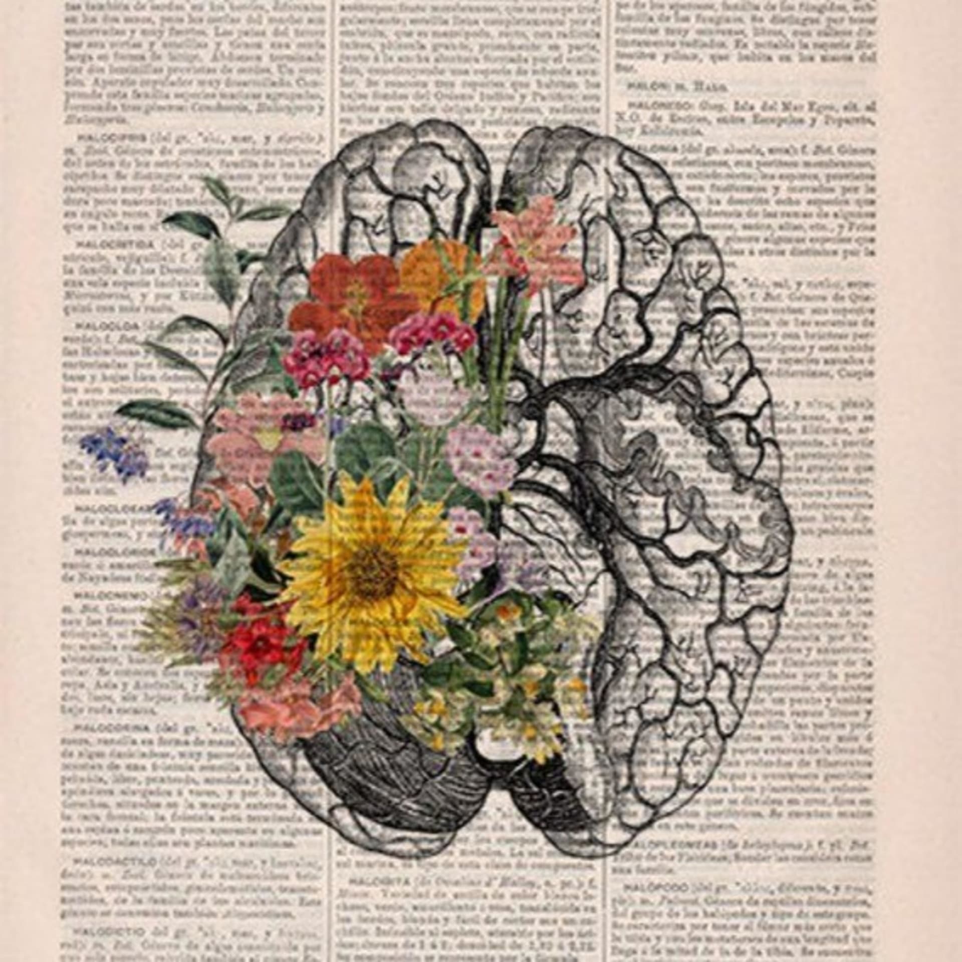Let yourself bloom🌱 - Podcasts