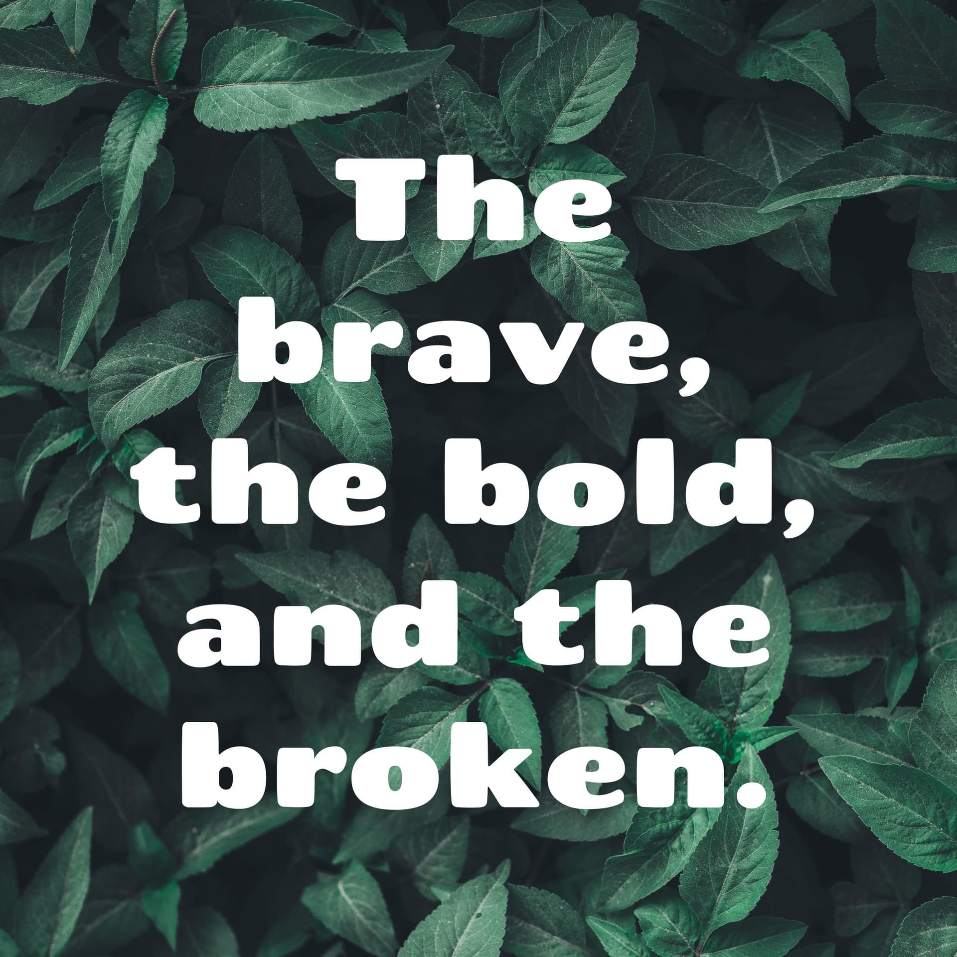 The brave, the bold, and the broken.