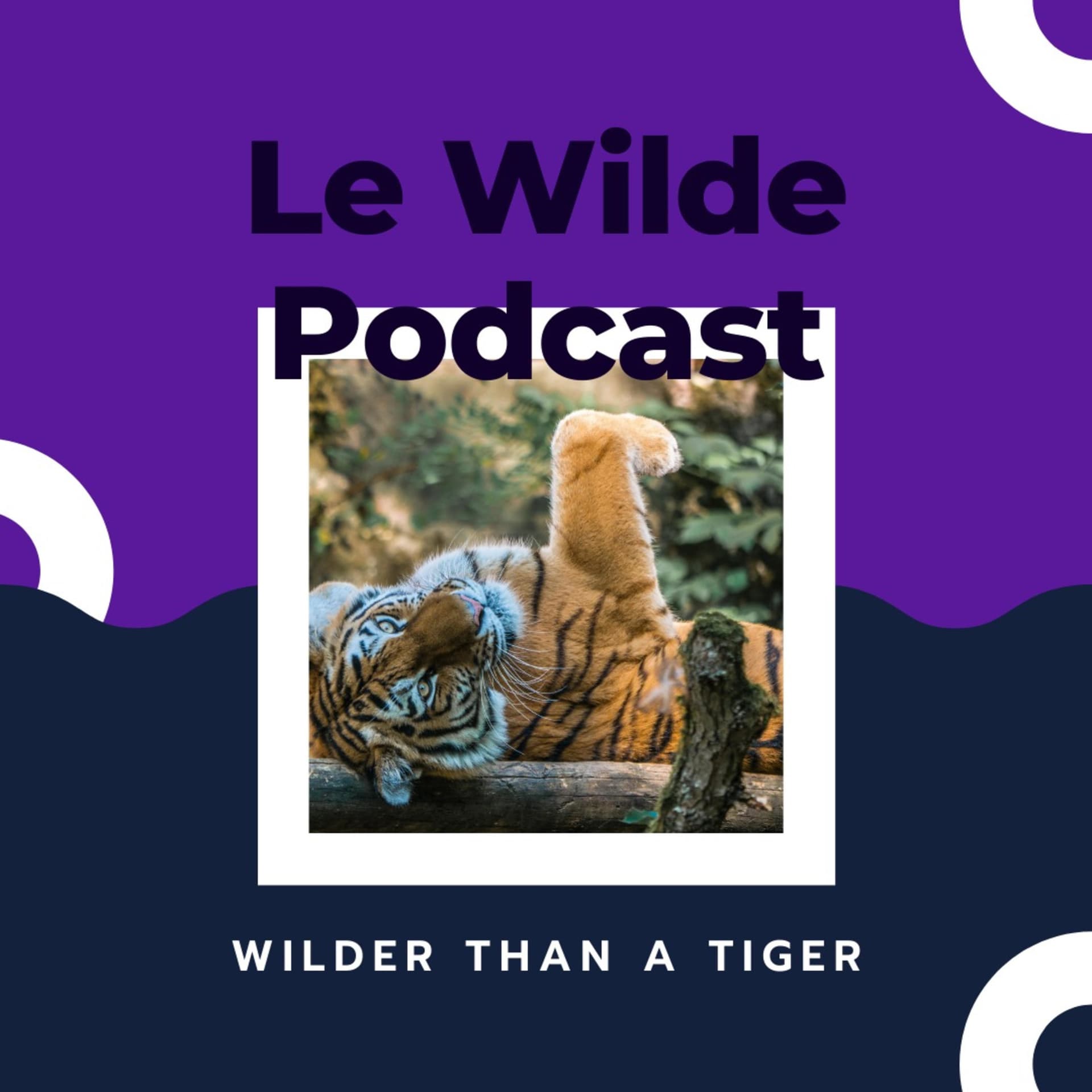 Le Wilde Podcast - Podcasts