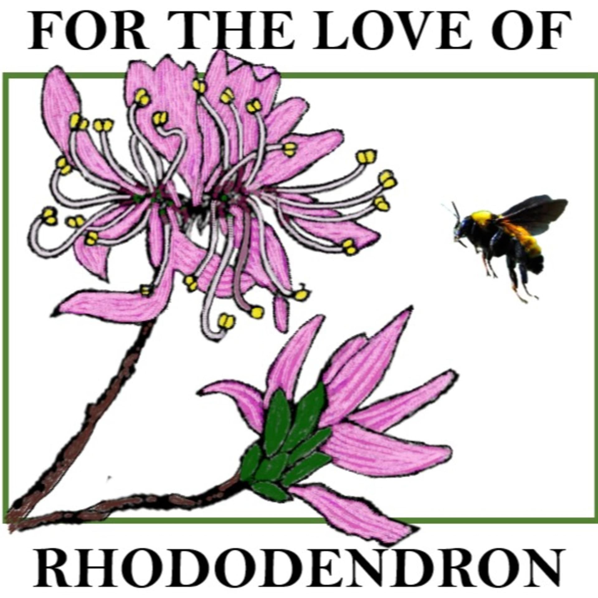 For the Love of Rhododendron - Podcasts