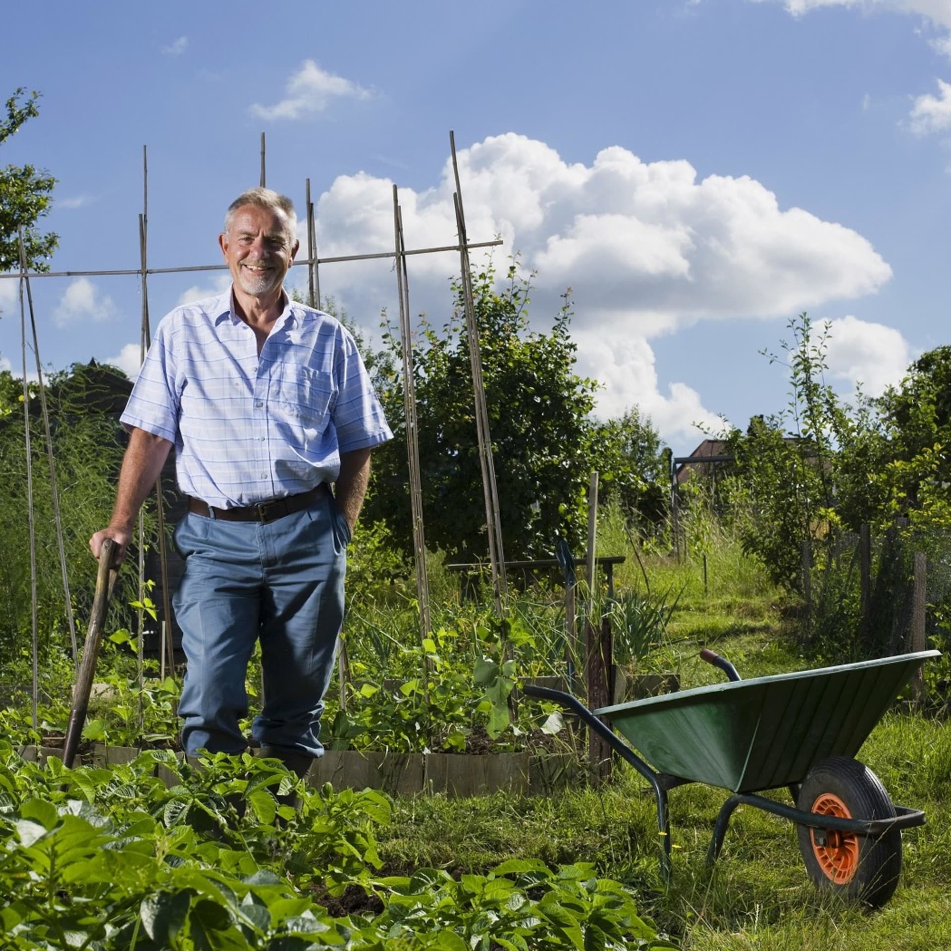Kleiner Tipp - der Gartenpodcast des Sächsischen Landesamtes für Umwelt, Landwirtschaft und Geologie - Podcasts