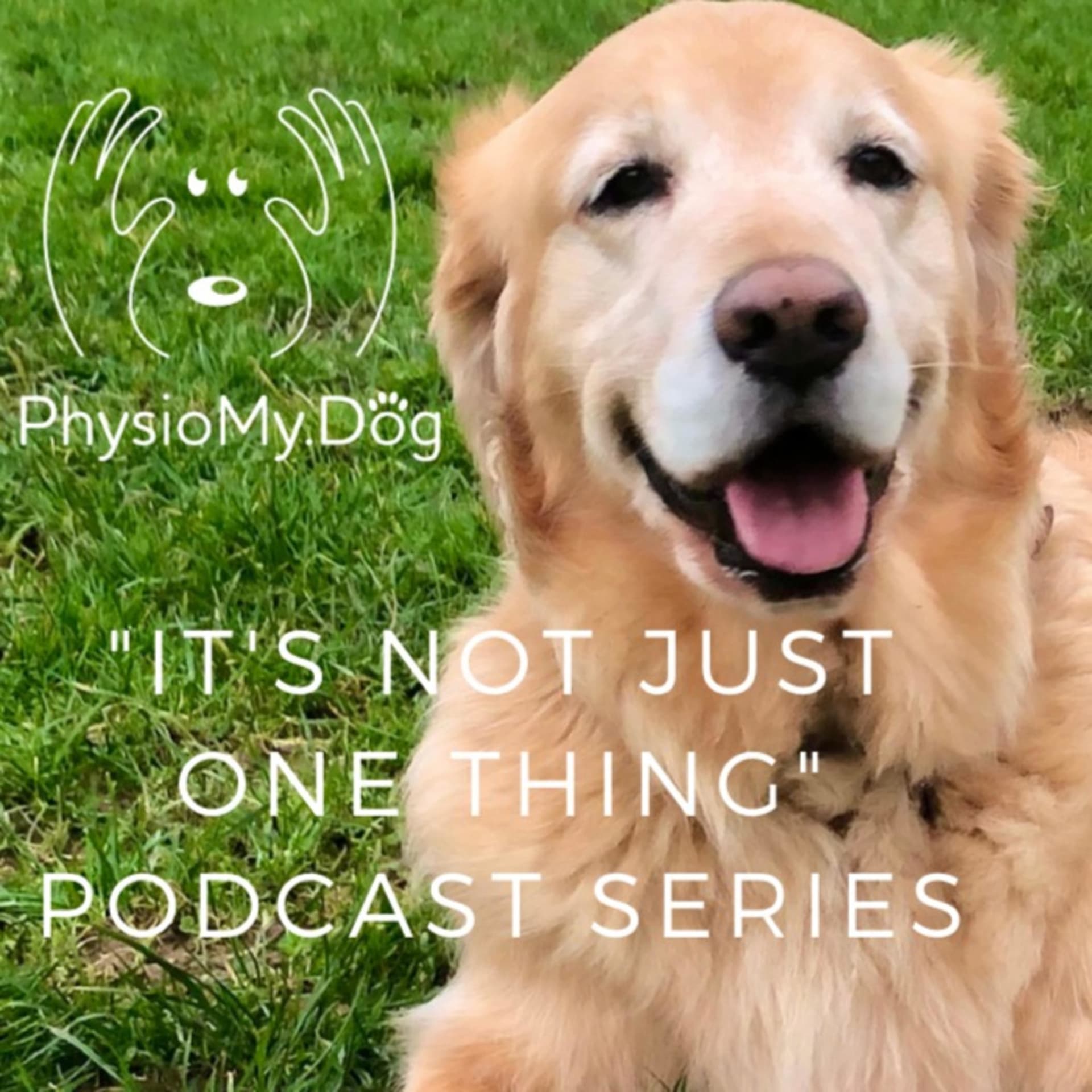 "It's Not Just One Thing .... That Will Help Your Dog Feel & Move Better" by PhysioMyDog - Podcasts