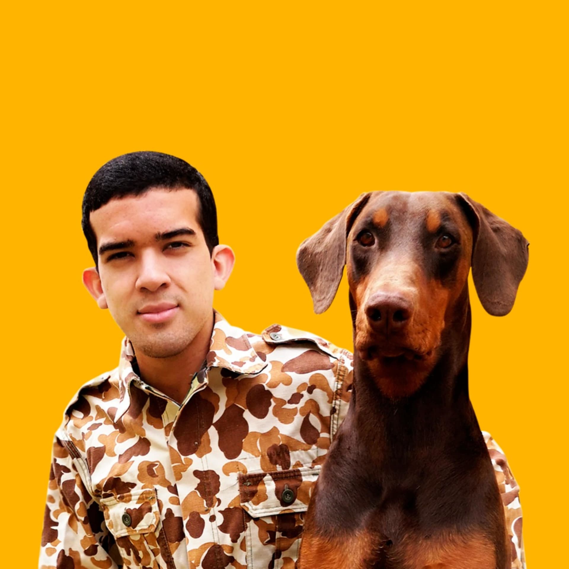 Cão Funcional