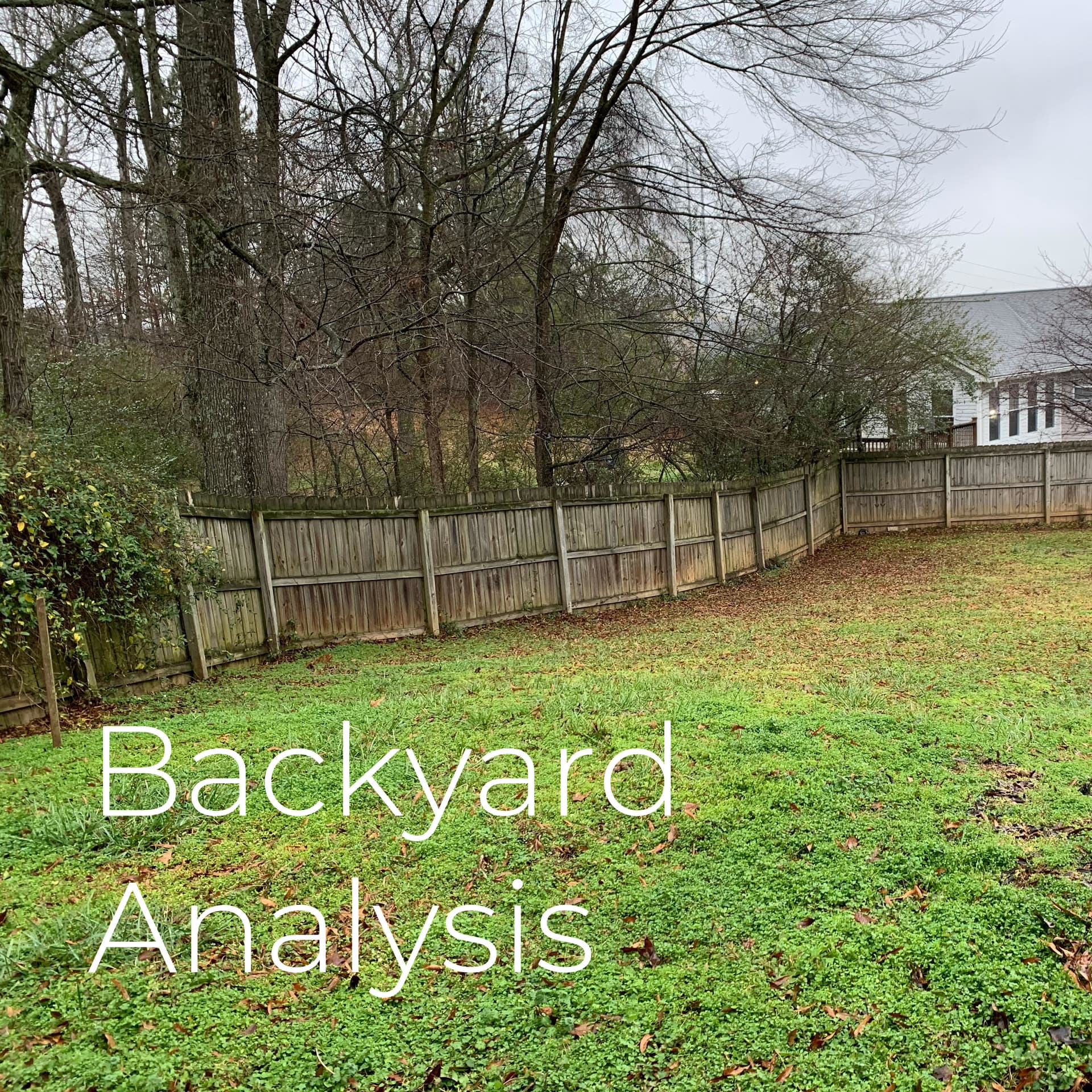 Backyard Analysis - Case Studies in Forensics - Podcasts