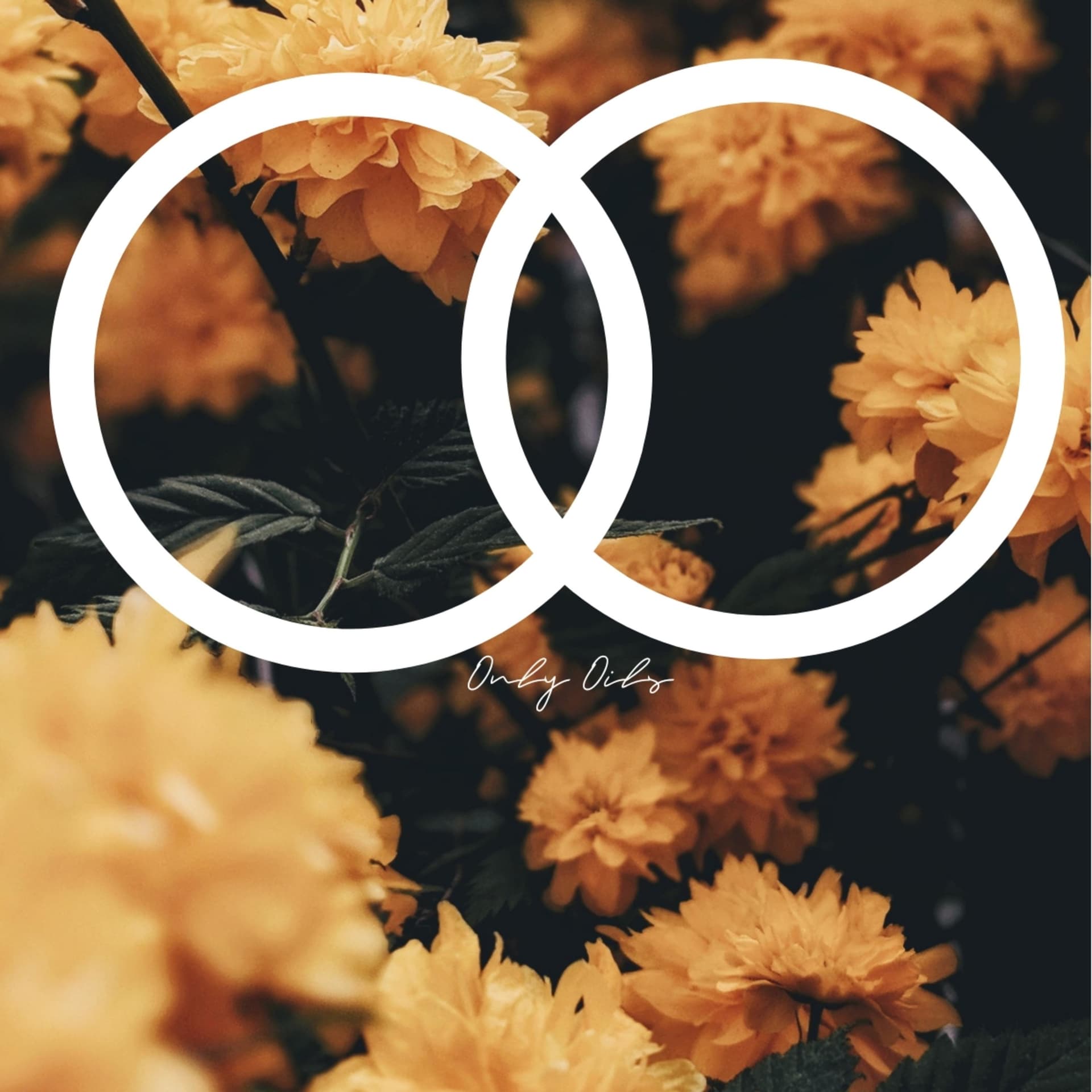 Only Oils - Podcast