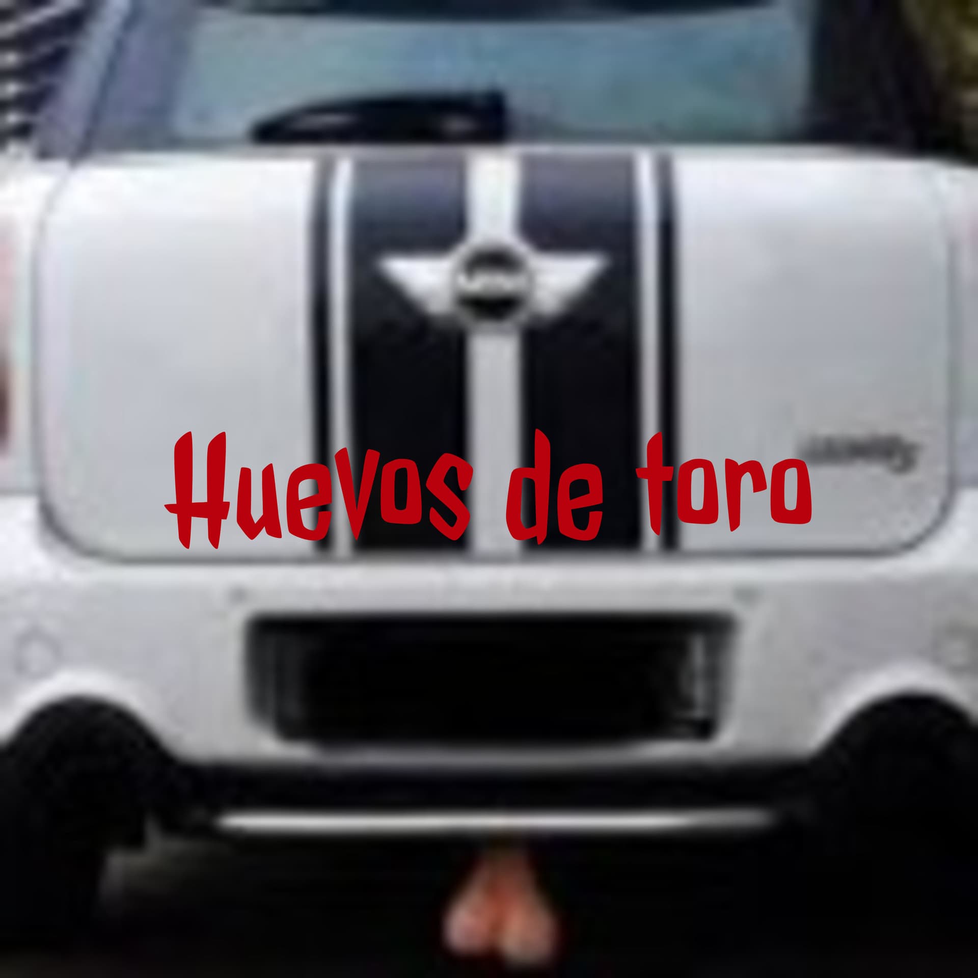 Huevos de toro