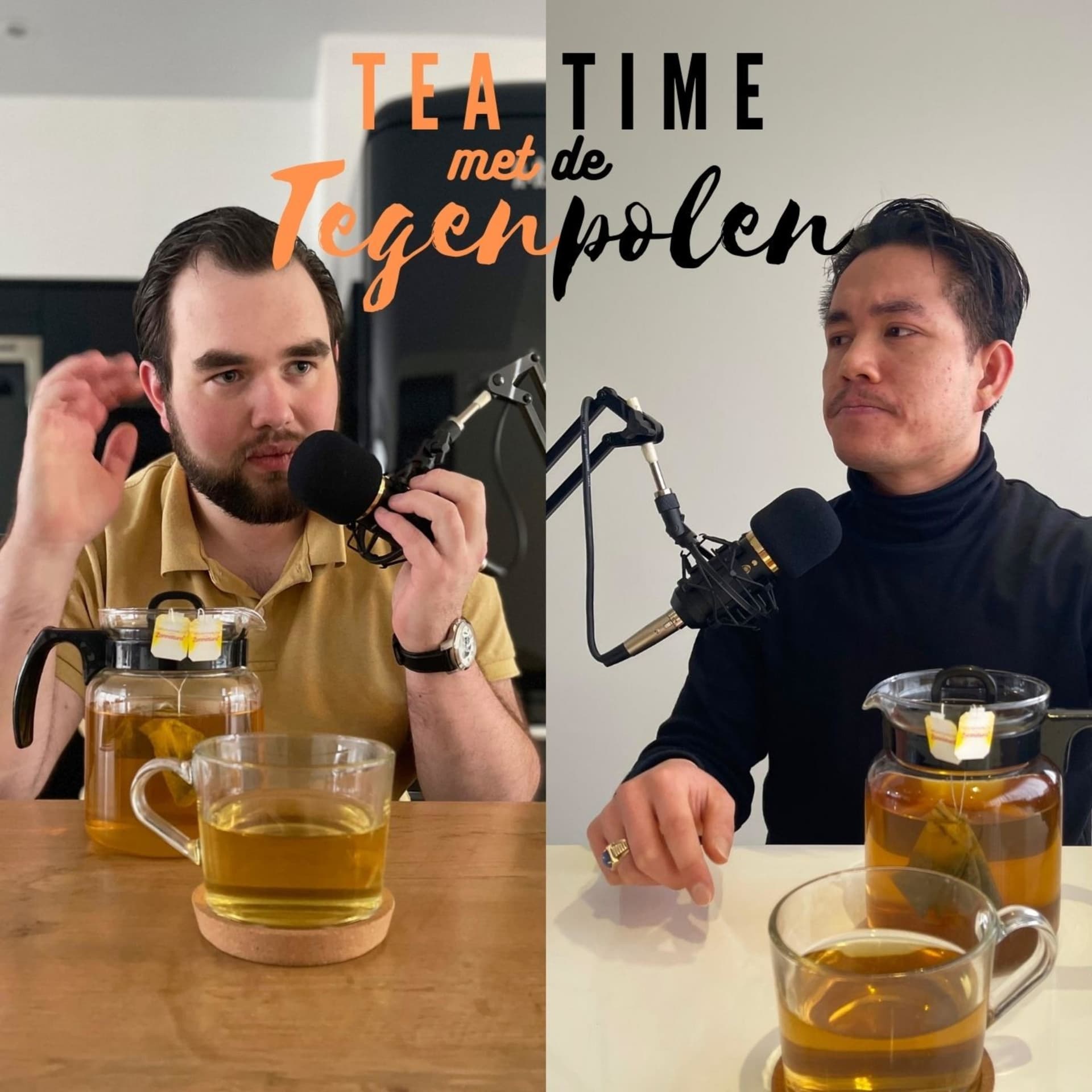 Tea Time met de Tegenpolen - Podcasts