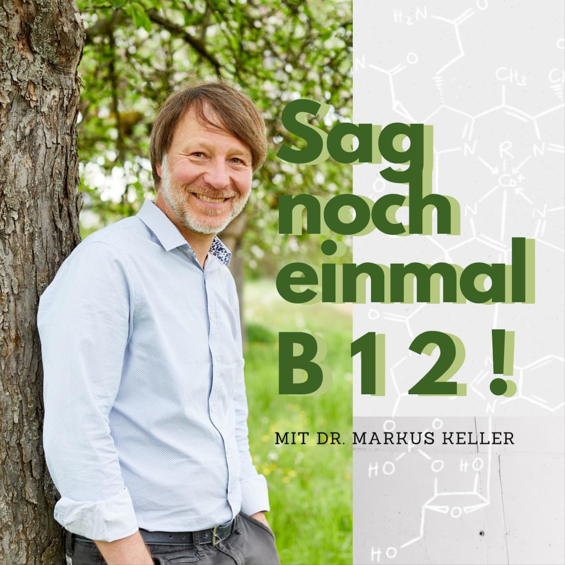 Sag noch einmal B12 - Podcasts