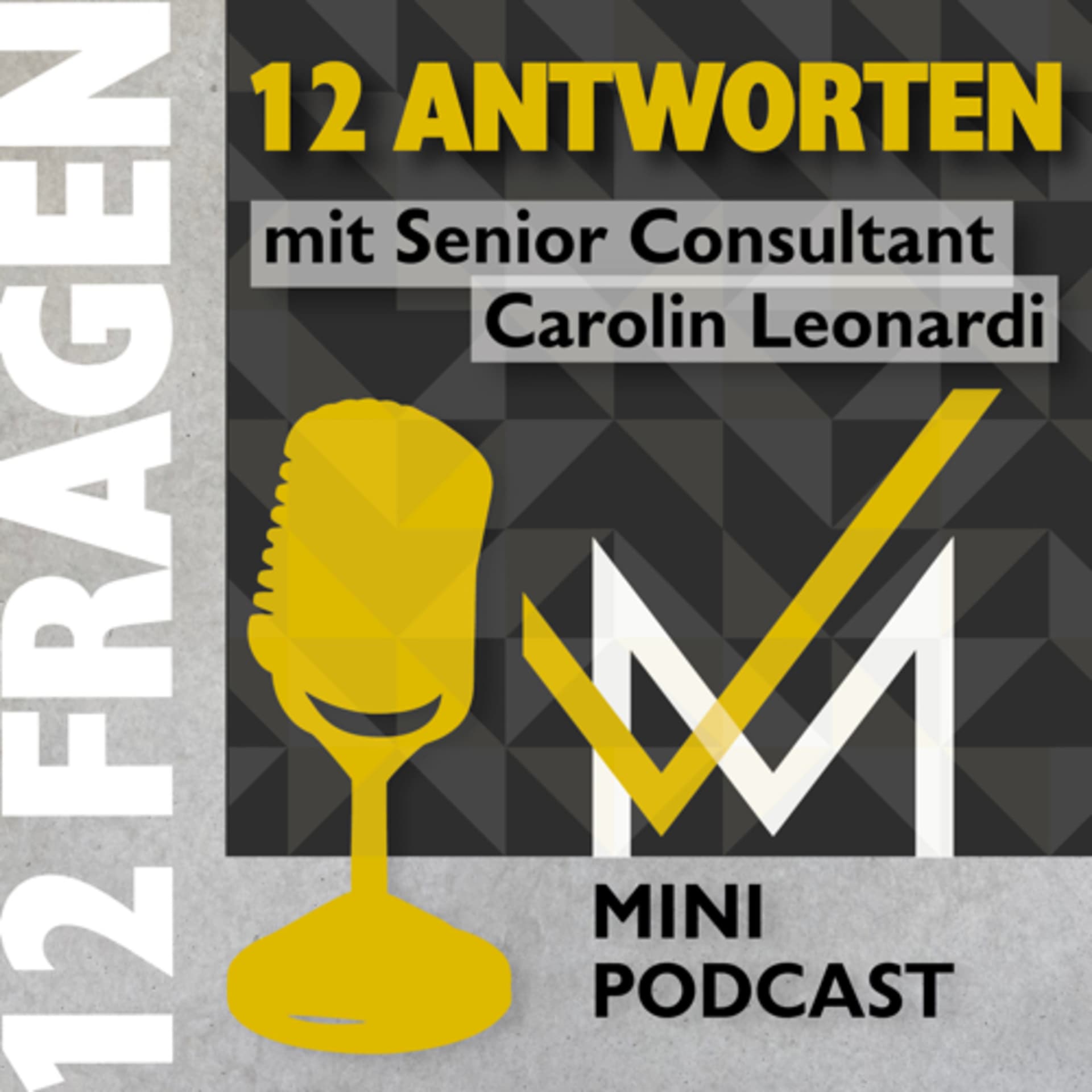 MV Mini Podcast 12 Fragen | 12 Antworten - Podcasts