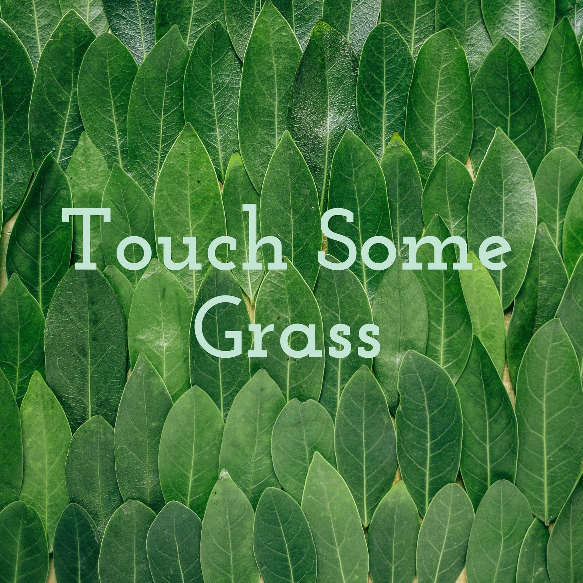 Touch Some Grass - Podcasts