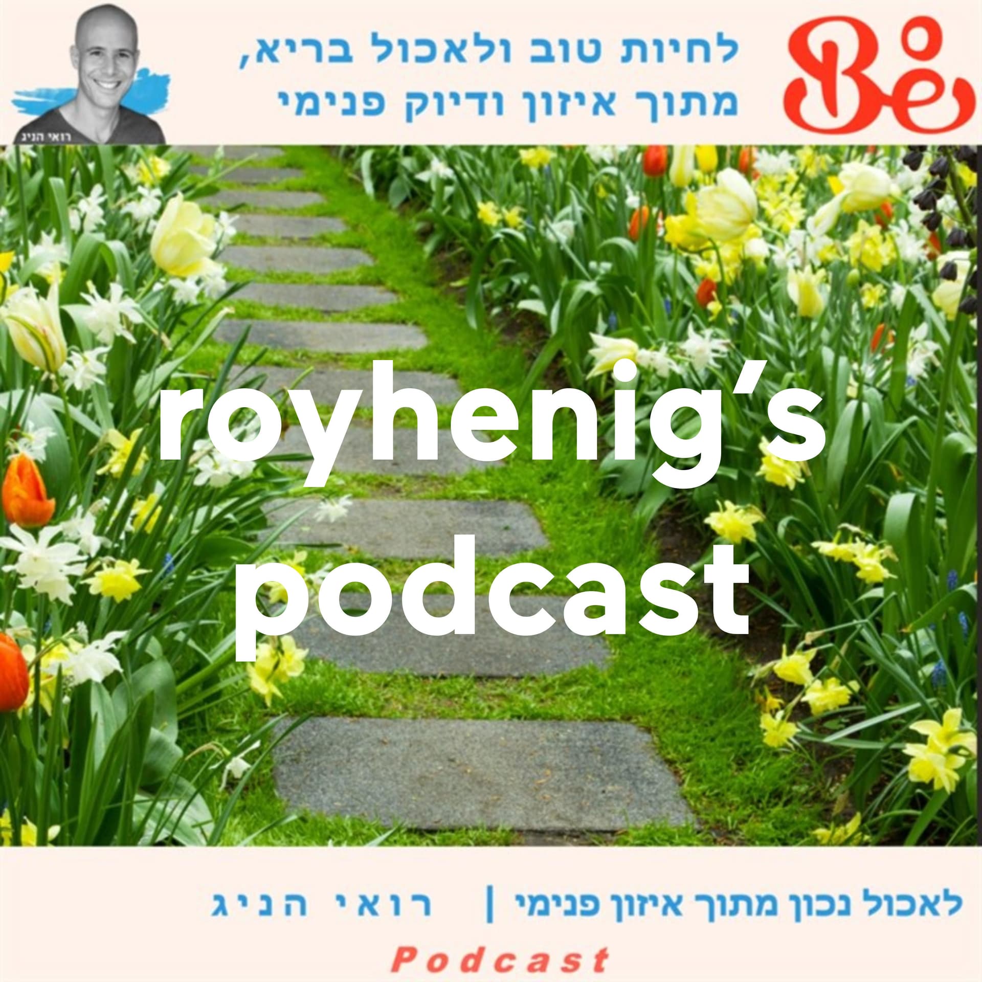 הפודקאסט של רואי הניג - Podcasts