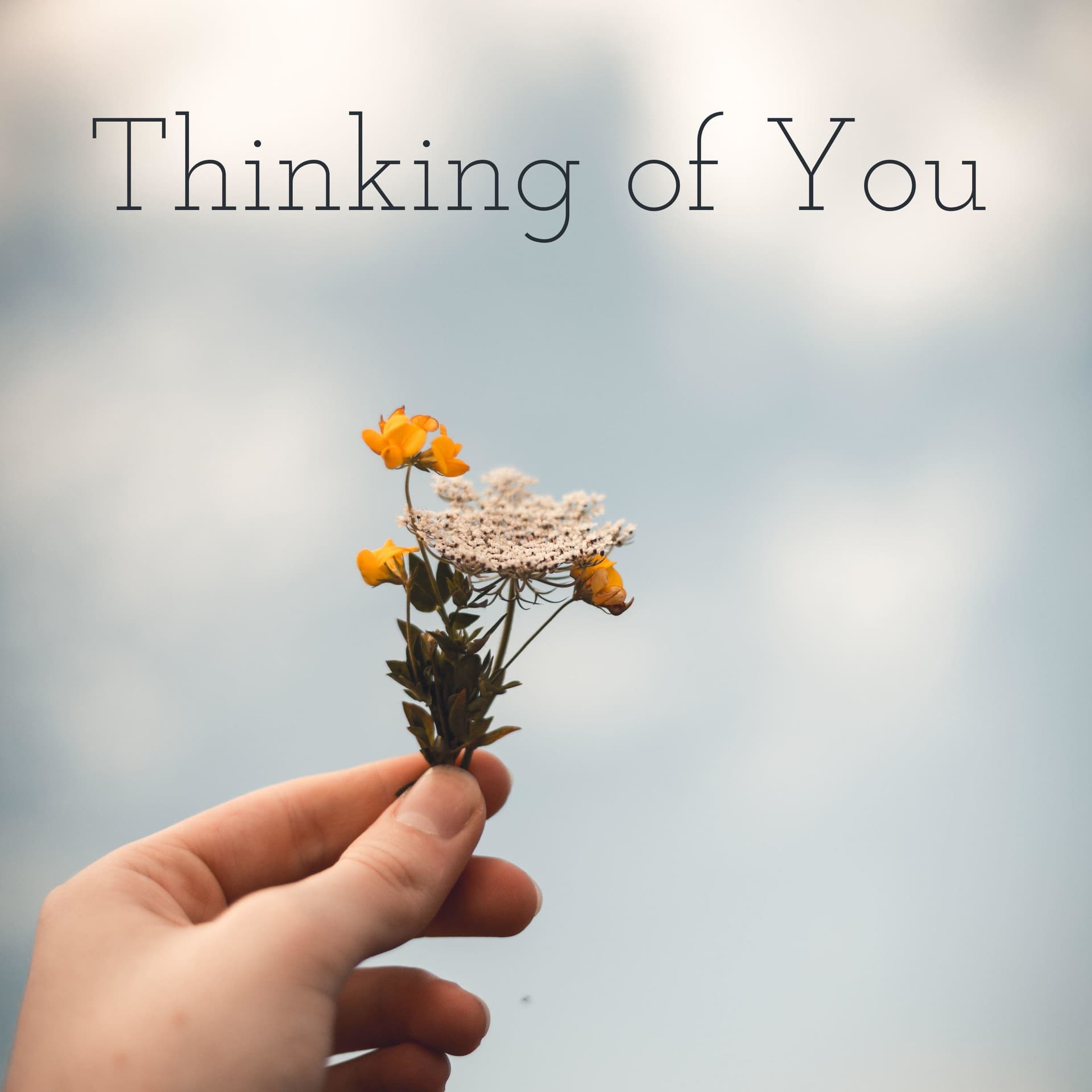 Thinking of You: Q&A for Online Faculty - Podcasts